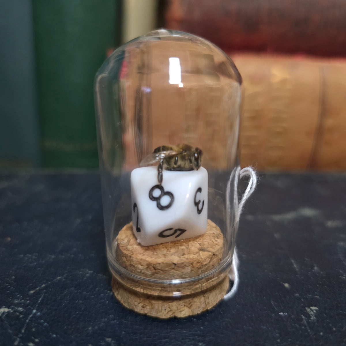D&D Dice Bee Dome