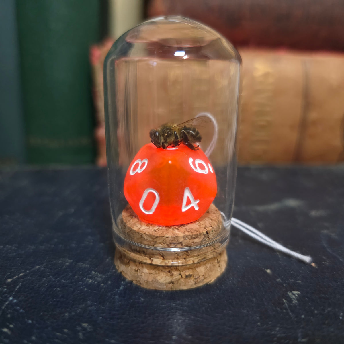 D&D Dice Bee Dome