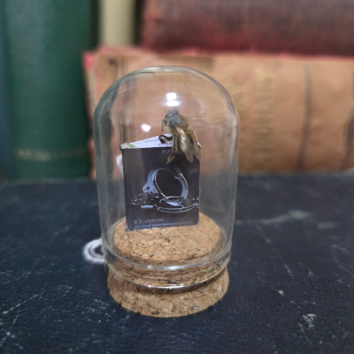 Book Bee Dome