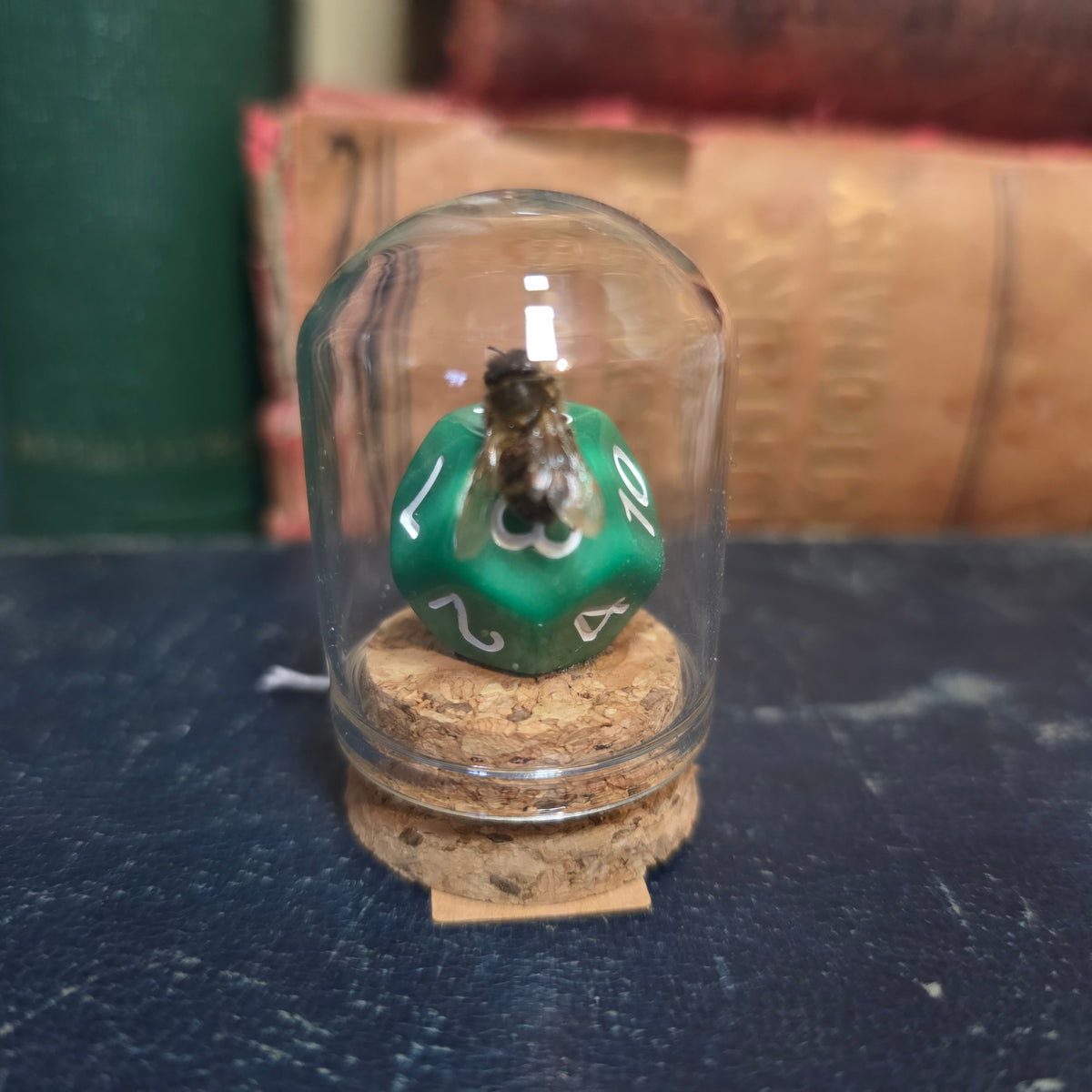 D&D Dice Bee Dome