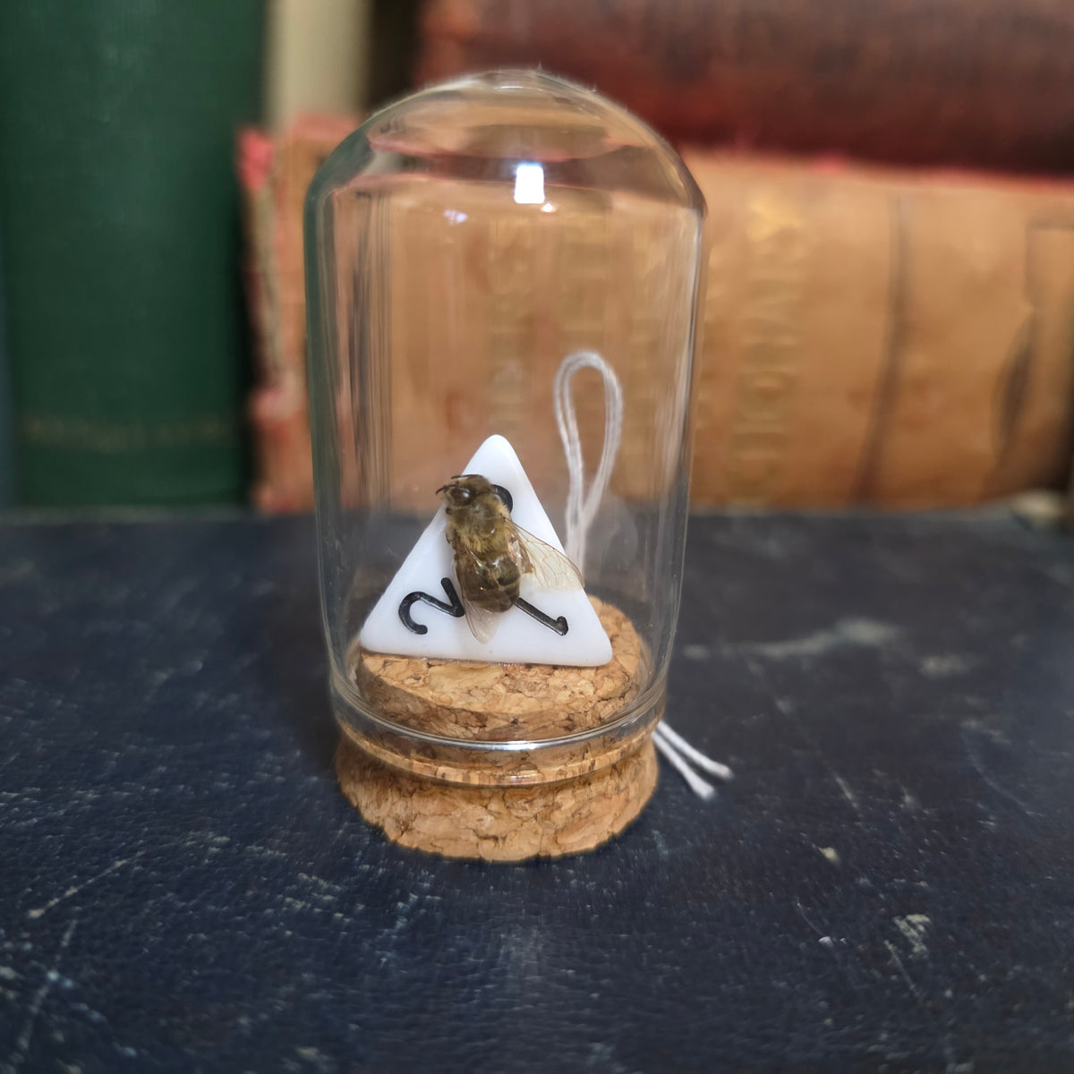 D&D Dice Bee Dome