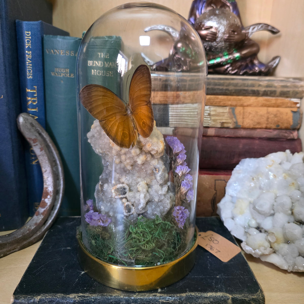 Fawn Butterfly Tall Dome