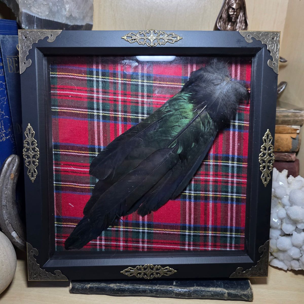 Magpie Tail Deep Frame
