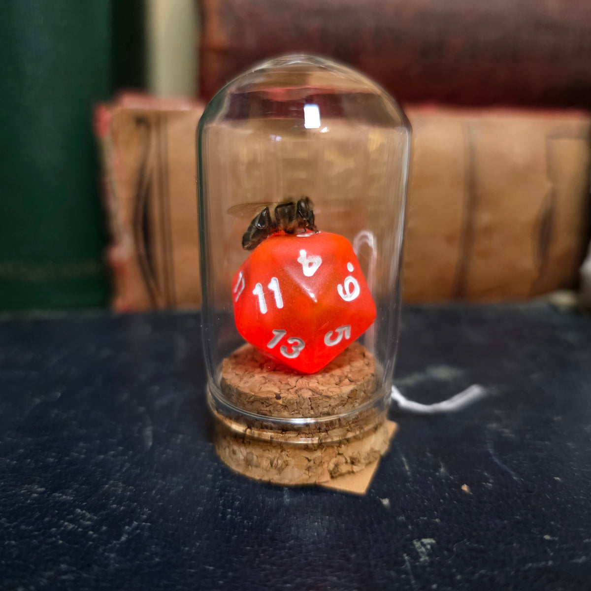 D&D Dice Bee Dome
