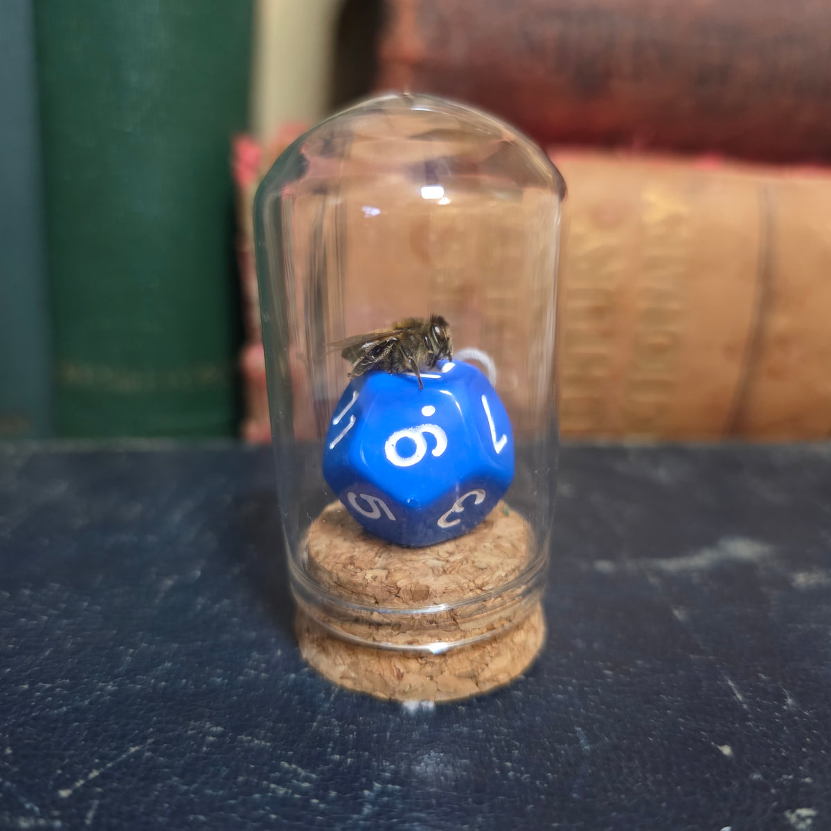 D&D Dice Bee Dome