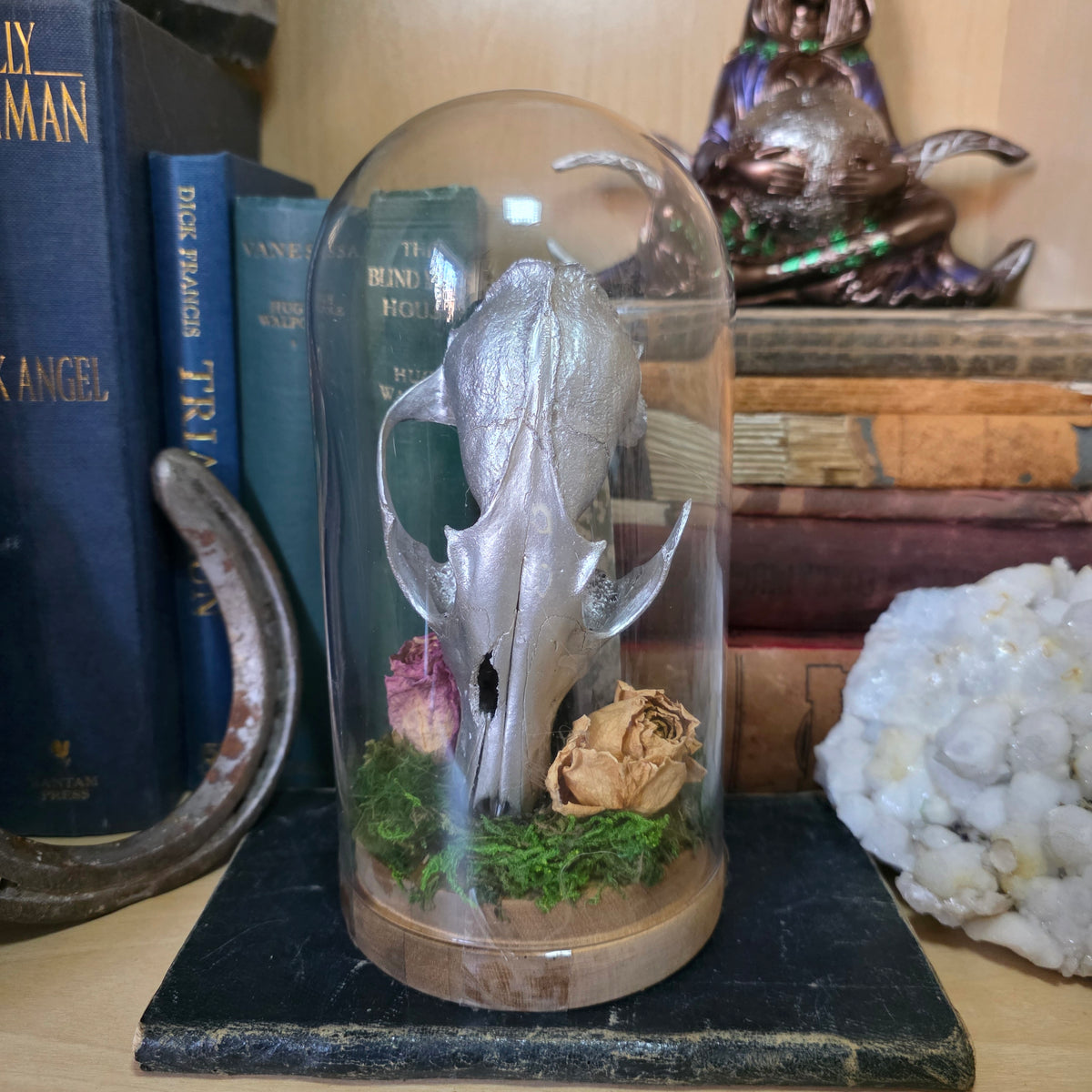 Fox Skull Tall Dome
