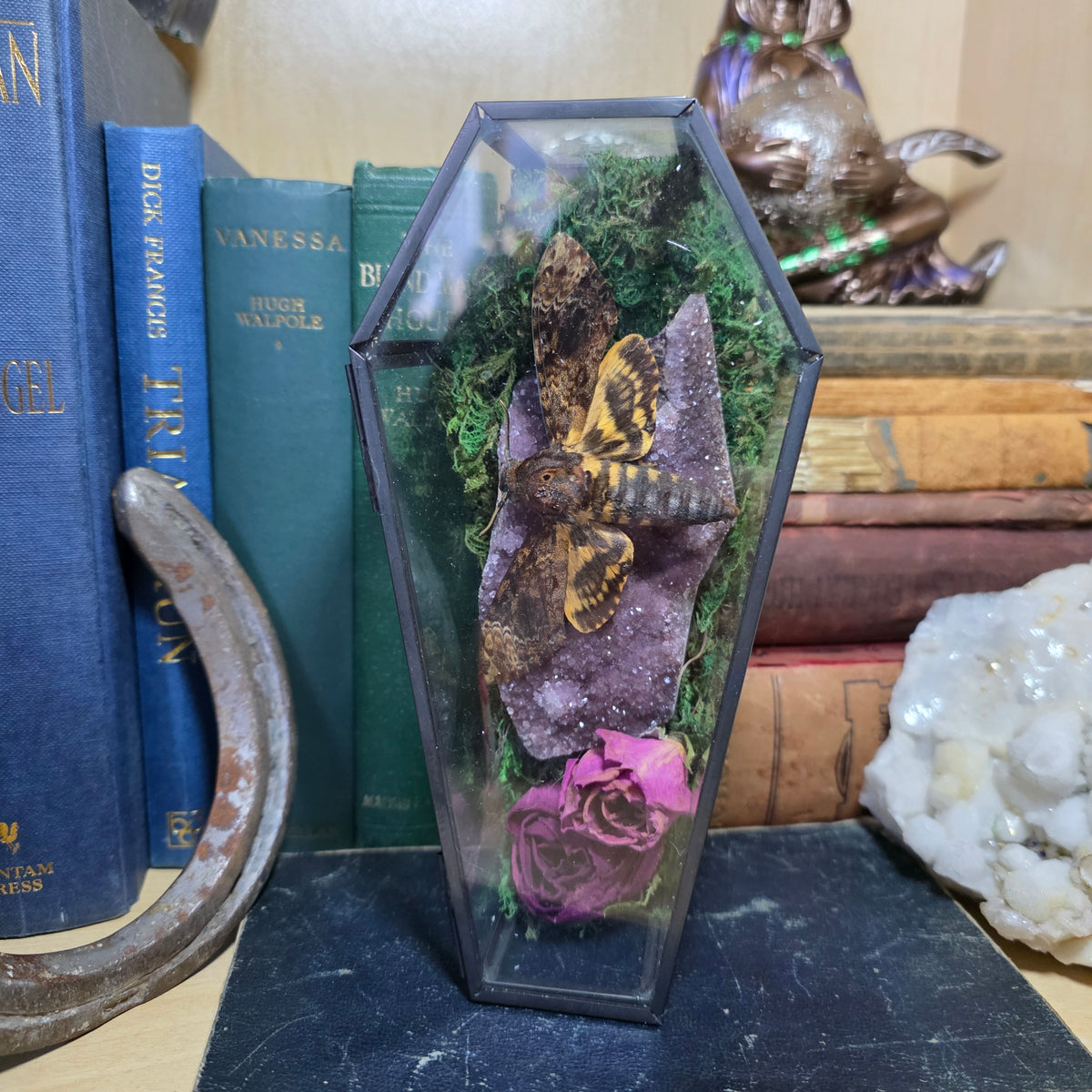 Death Head Coffin