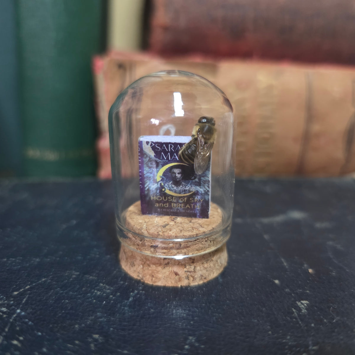 Book Bee Dome