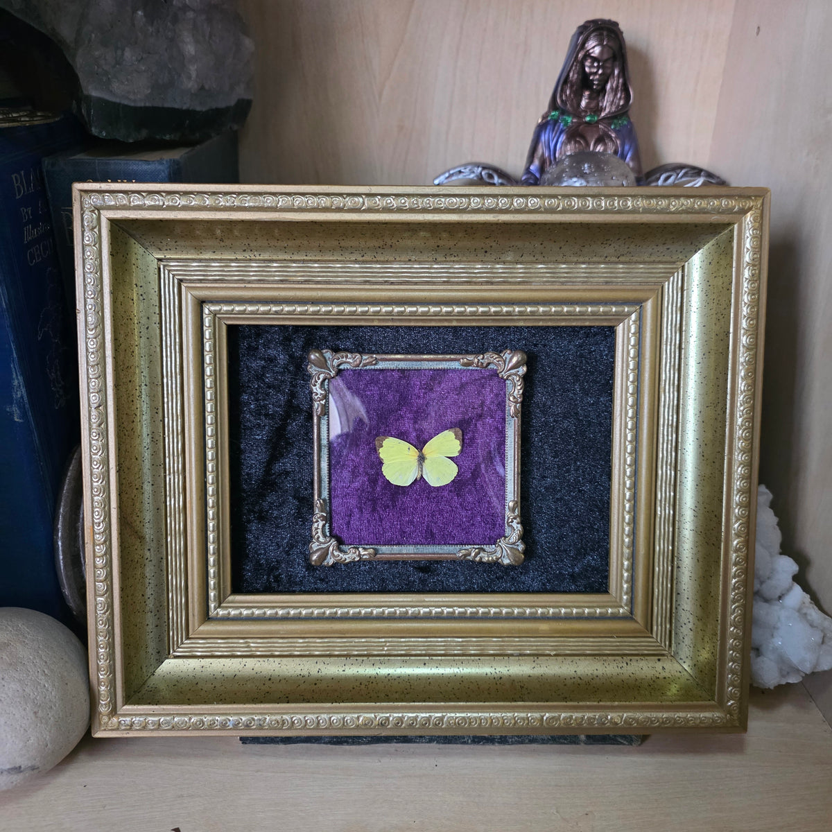 Butterfly Frame
