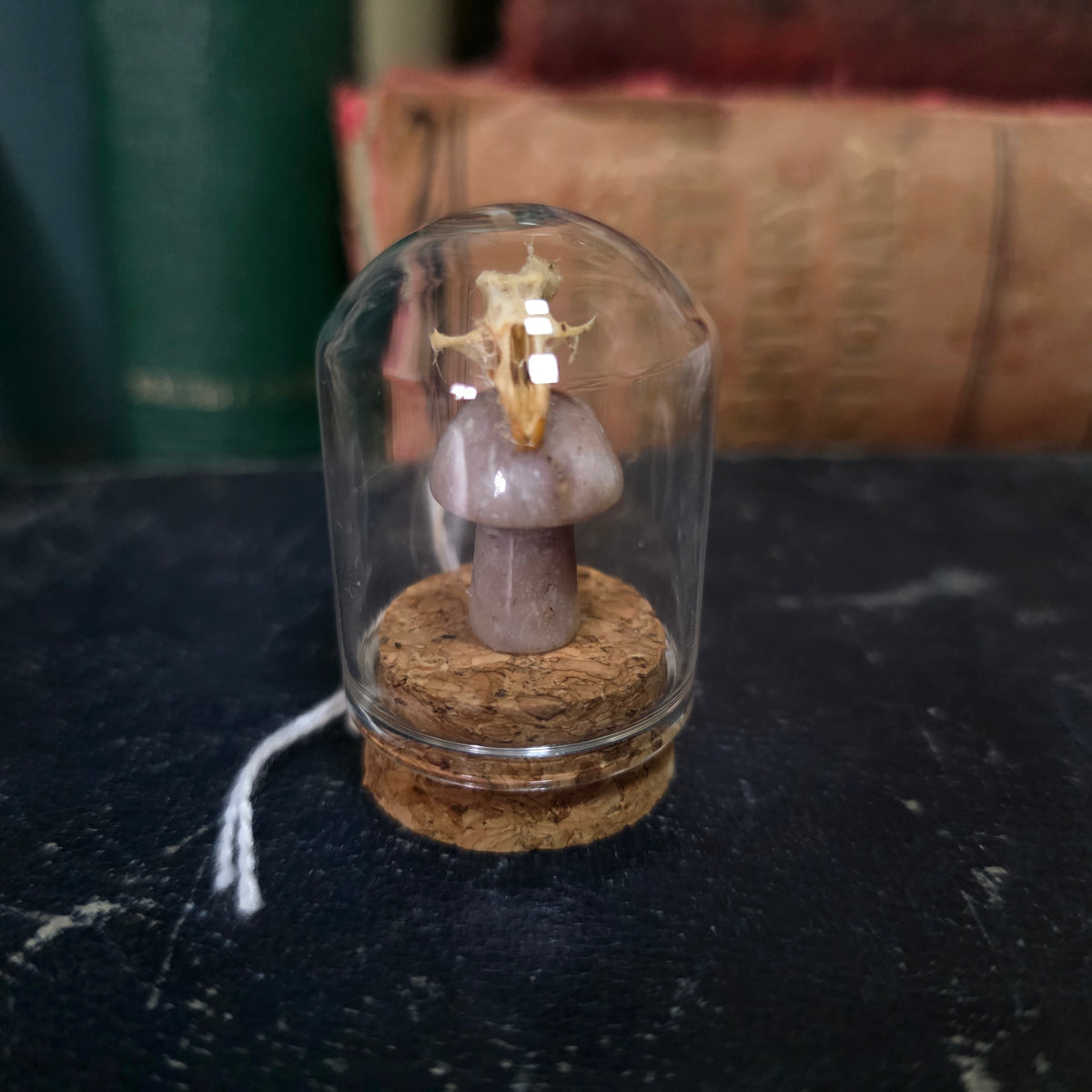 Crystal Mushroom Mini Skull Dome