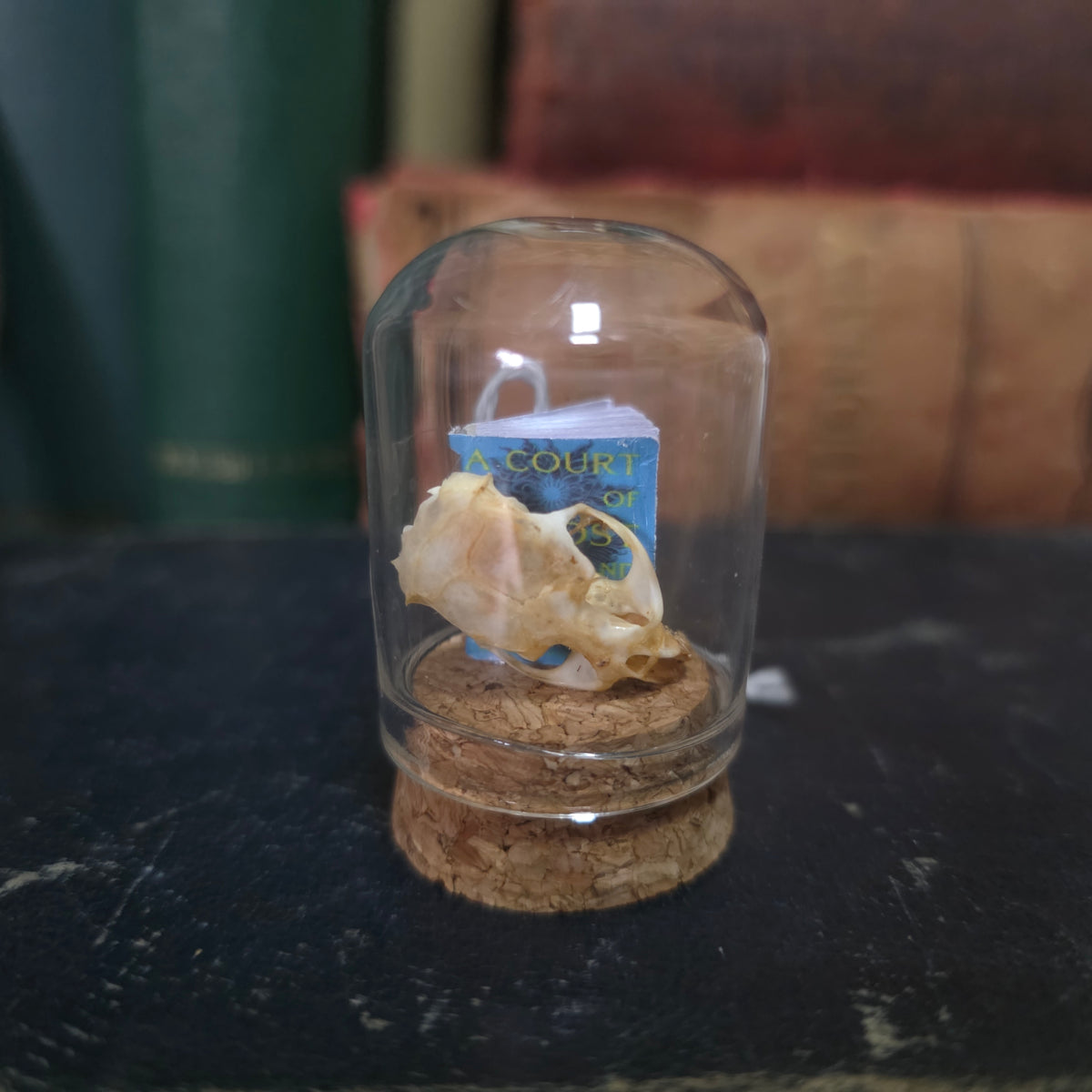 Book Mini Skull Dome
