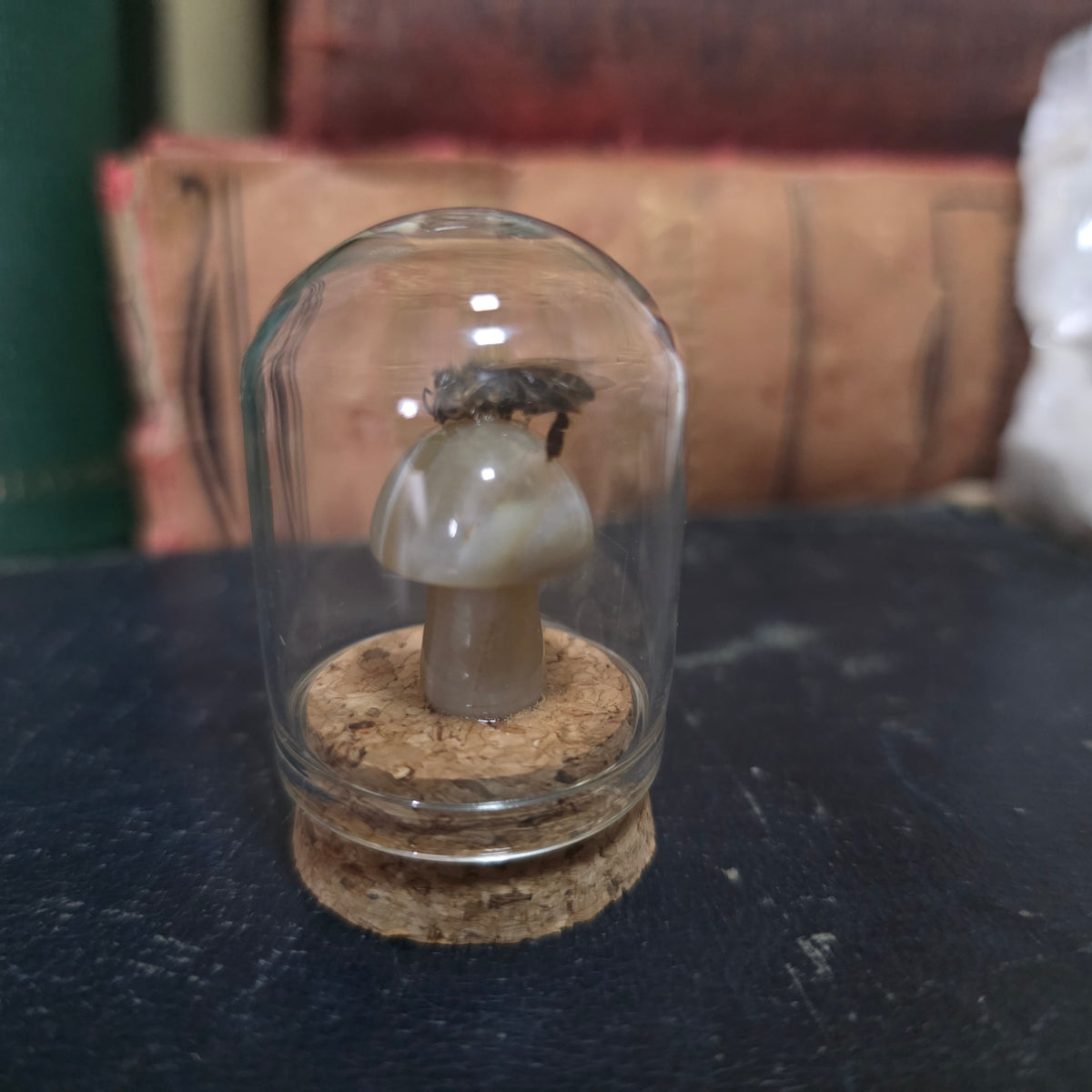Crystal Mushroom Bee Dome