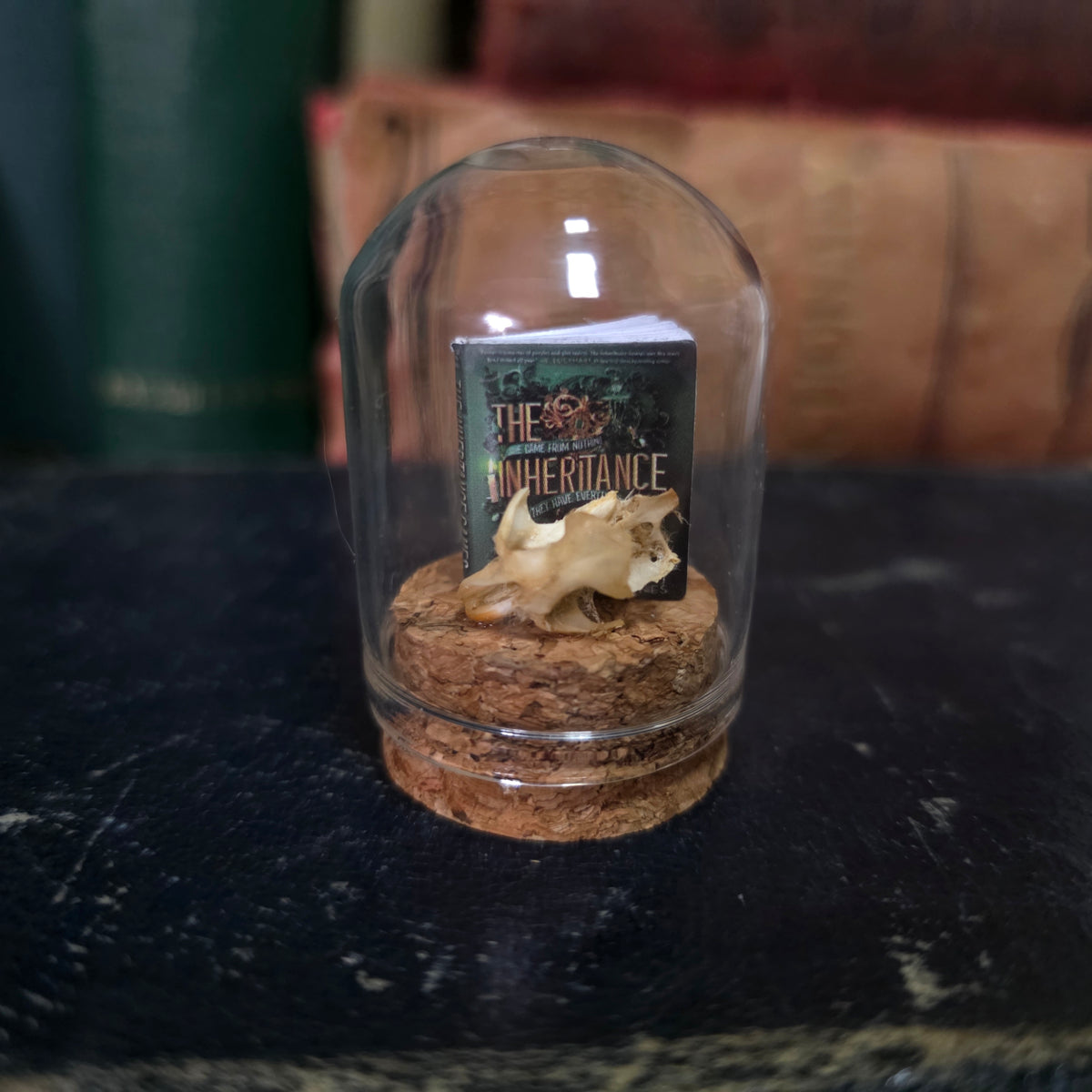Book Mini Skull Dome