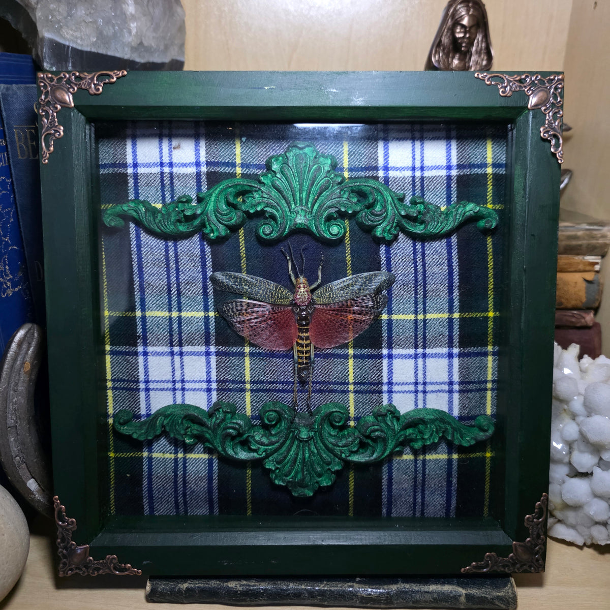 Grasshopper Deep Frame