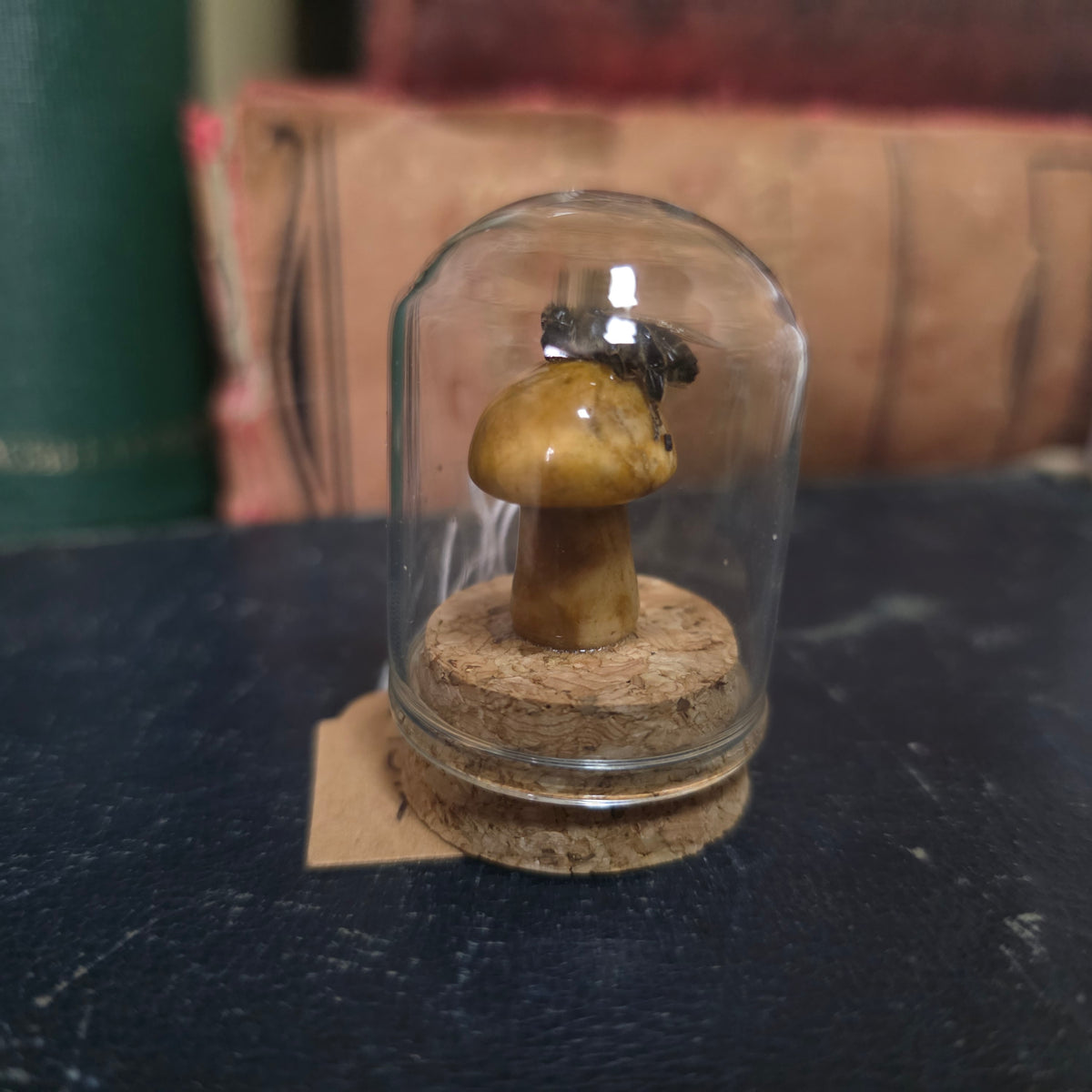 Crystal Mushroom Bee Dome