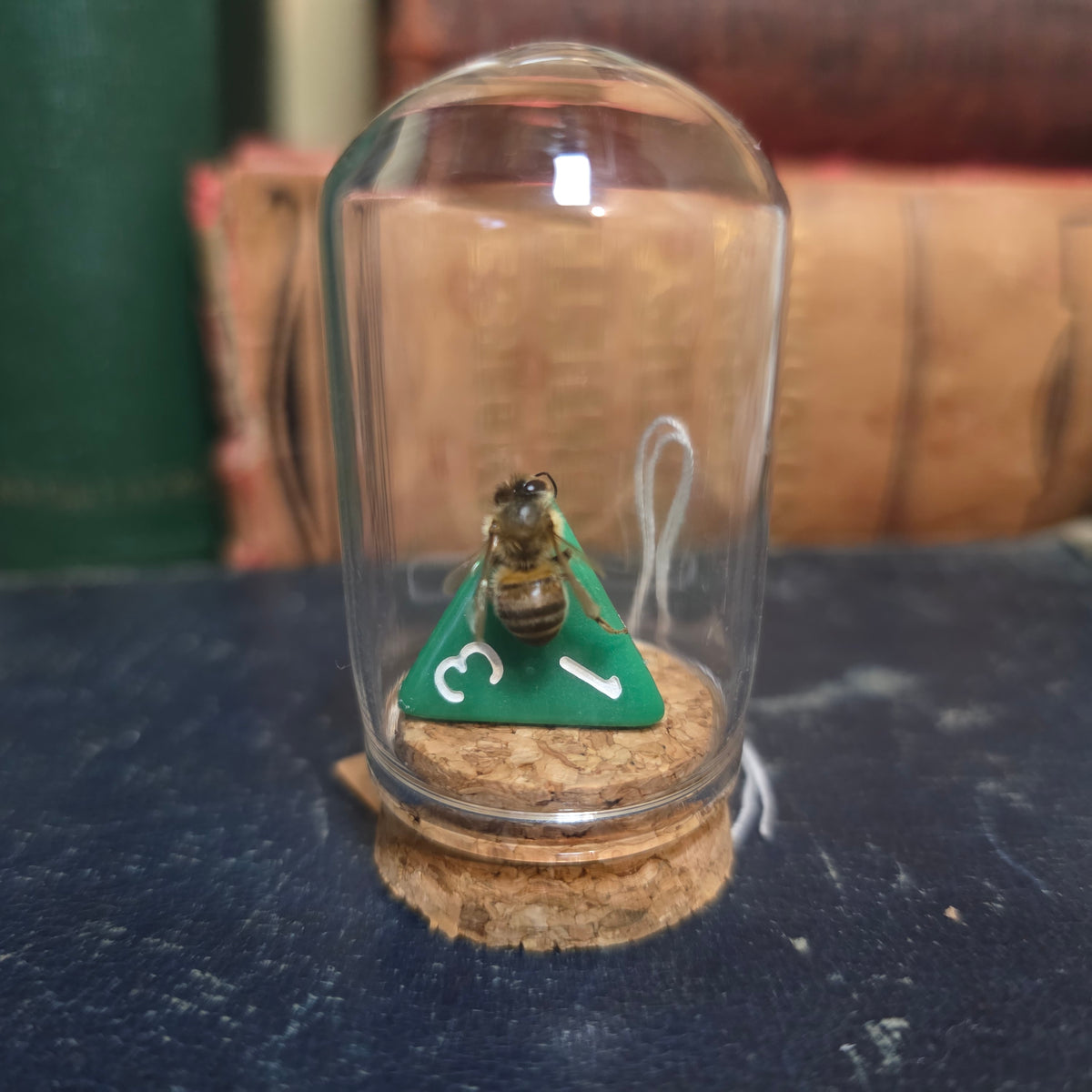 D&D Dice Bee Dome