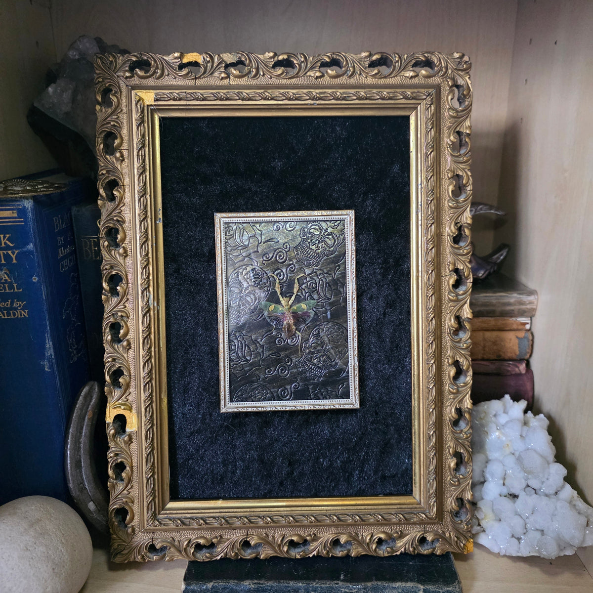 Mantis Frame