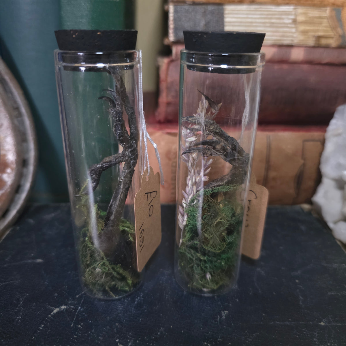 Crow Claw Jar