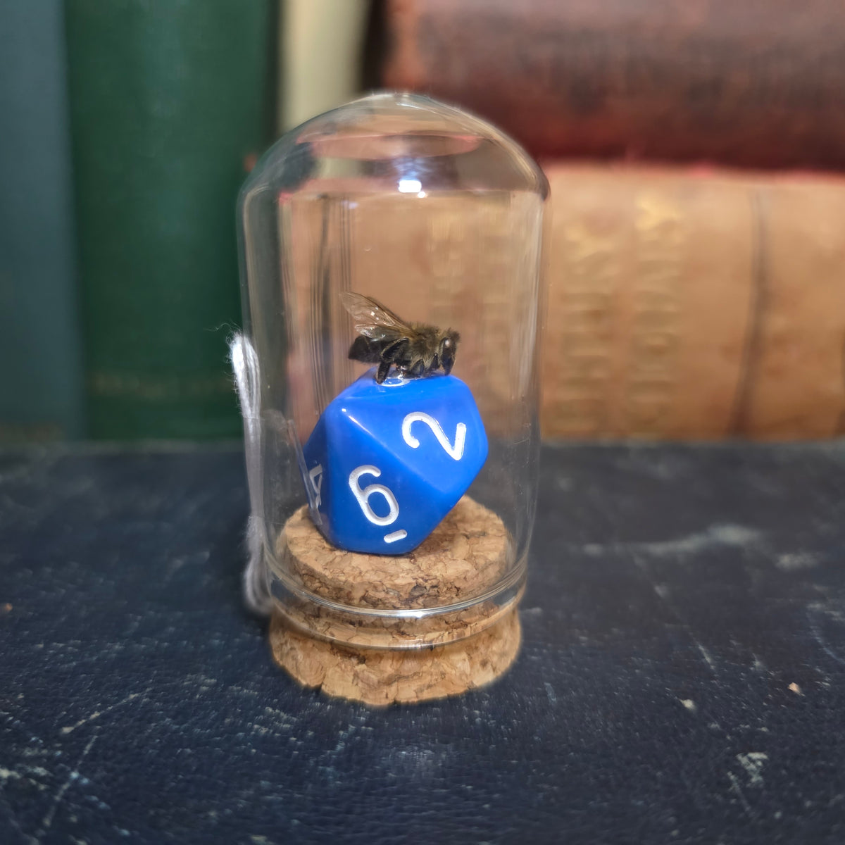 D&D Dice Bee Dome