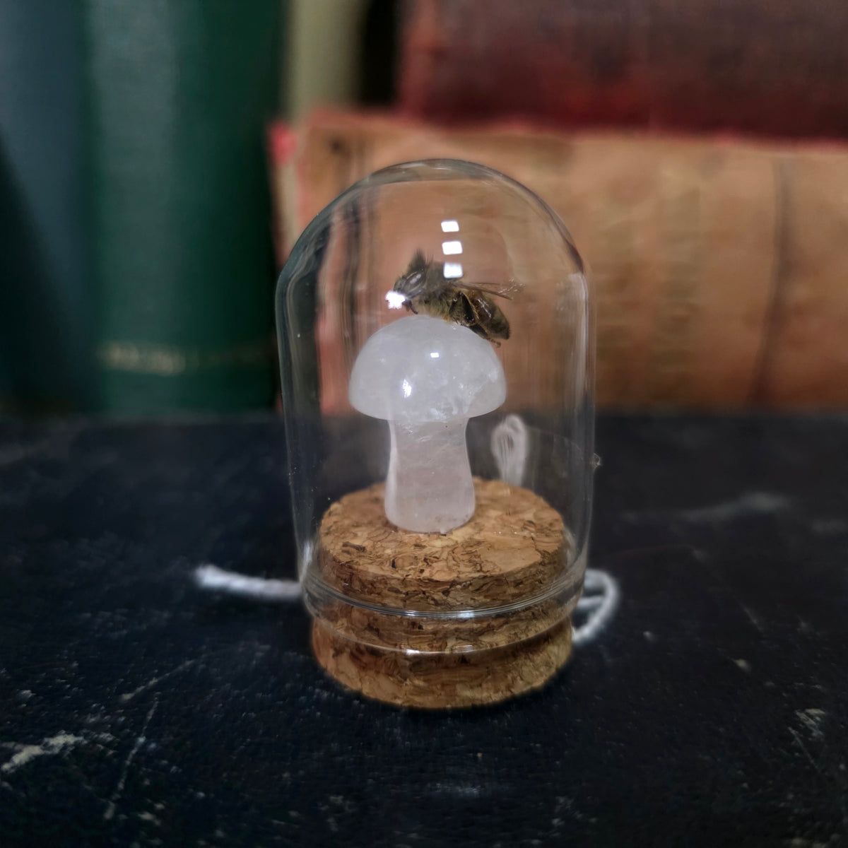 Crystal Mushroom Bee Dome