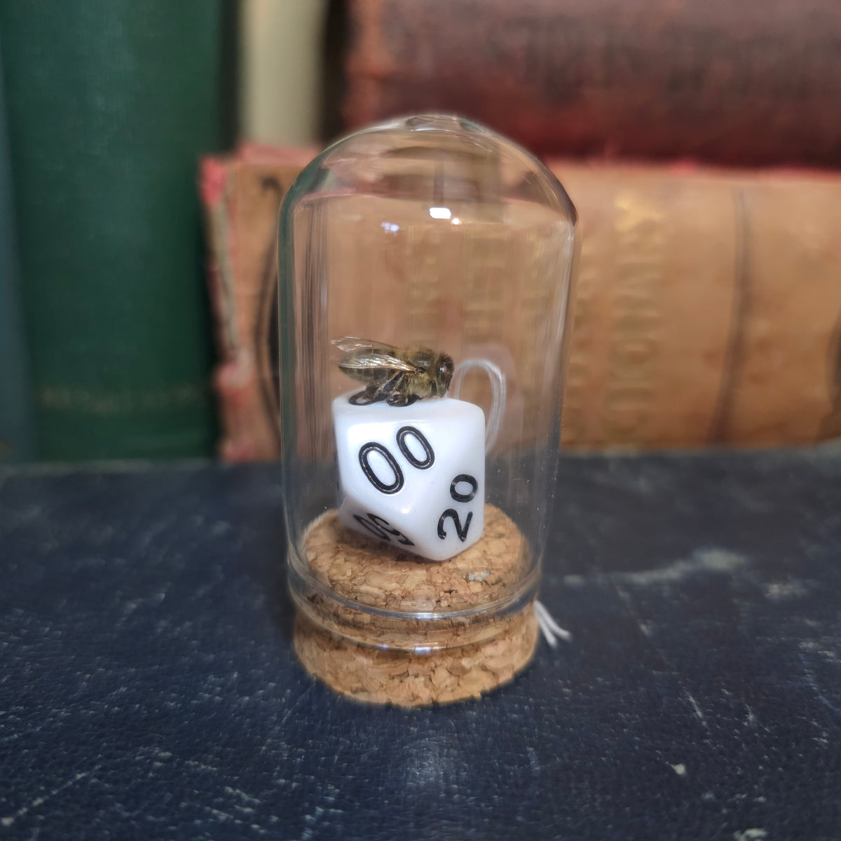 D&D Dice Bee Dome