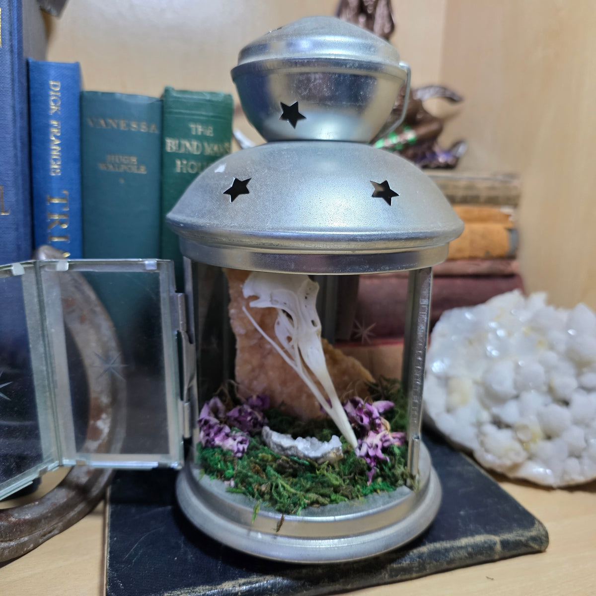 Gull Skull Lantern