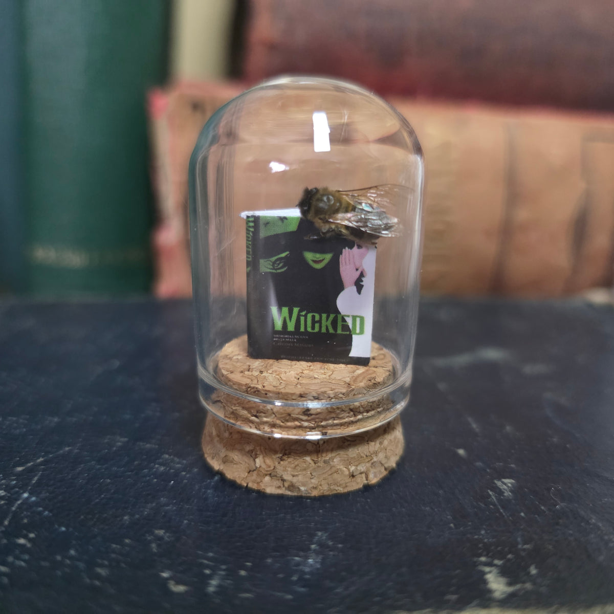 Book Bee Dome