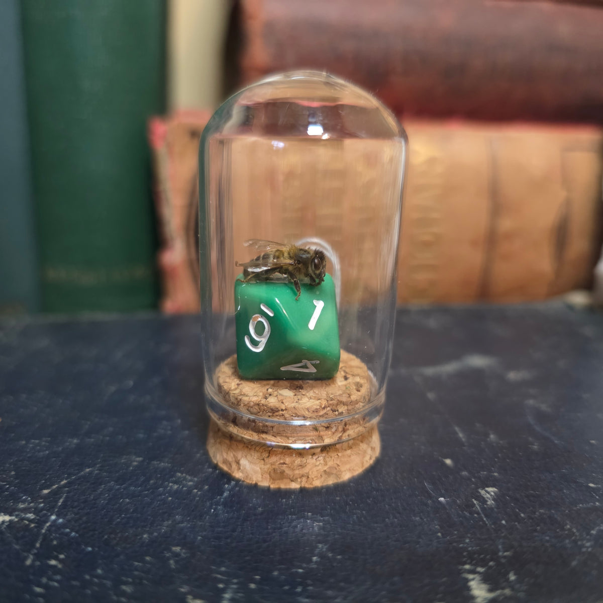 D&D Dice Bee Dome
