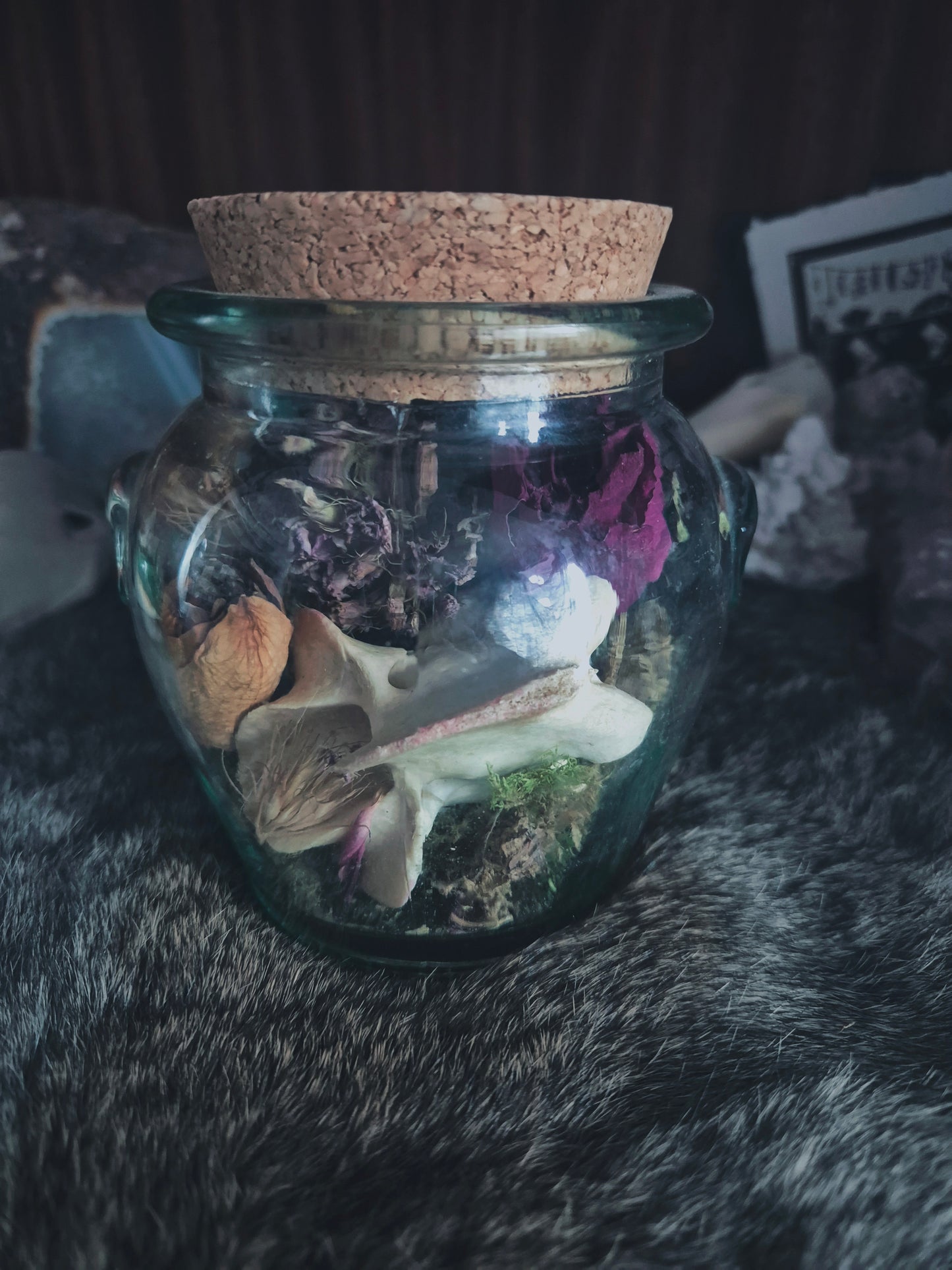 Large Curio Jar