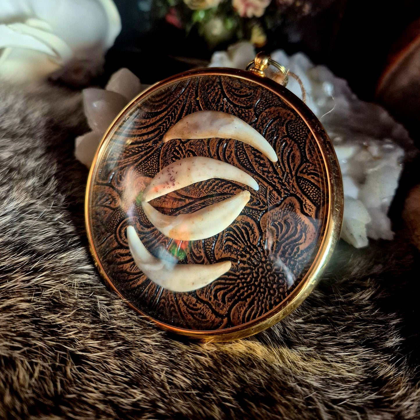 Fox Teeth Convex Frame