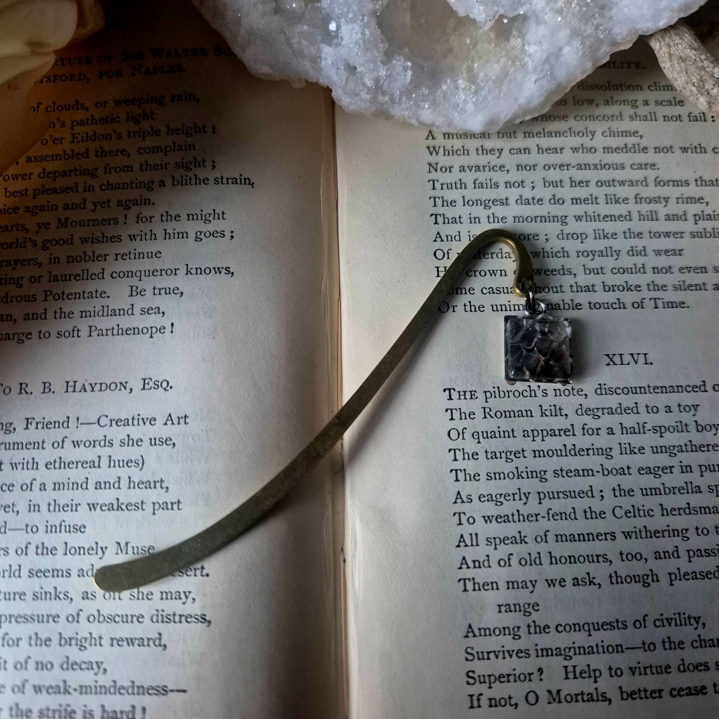 Snake Skin Bookmark