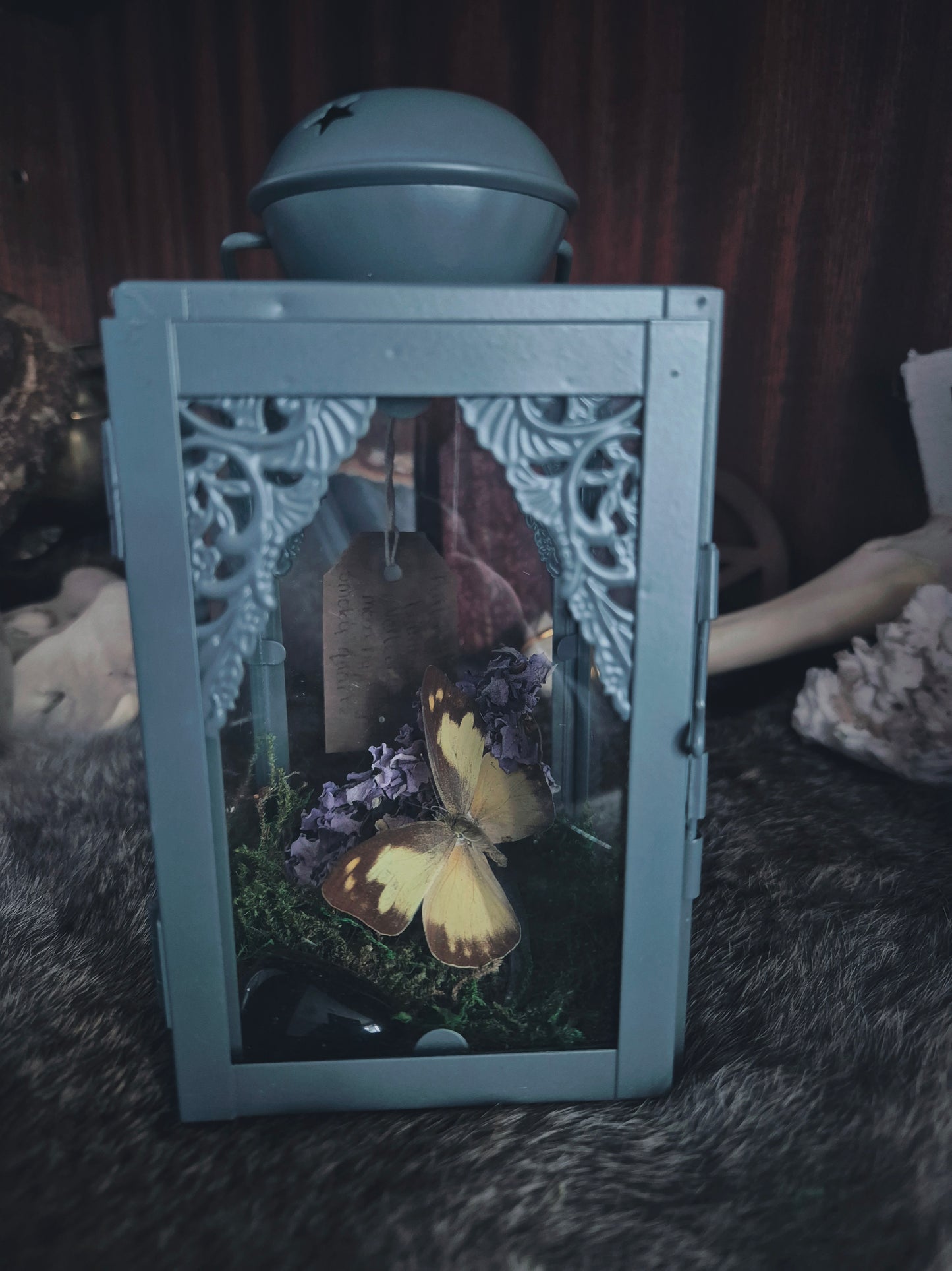 Curio Lantern