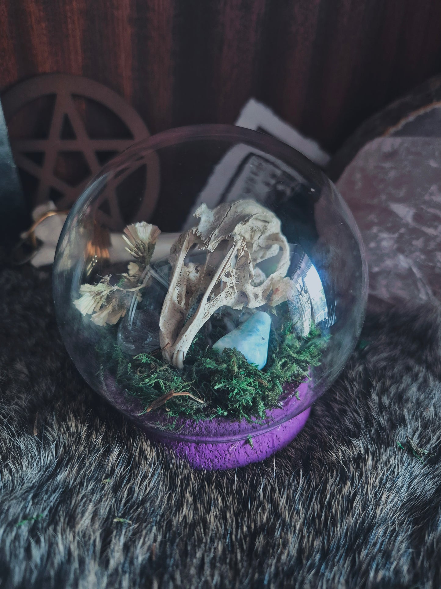 Rabbit Skull Dome