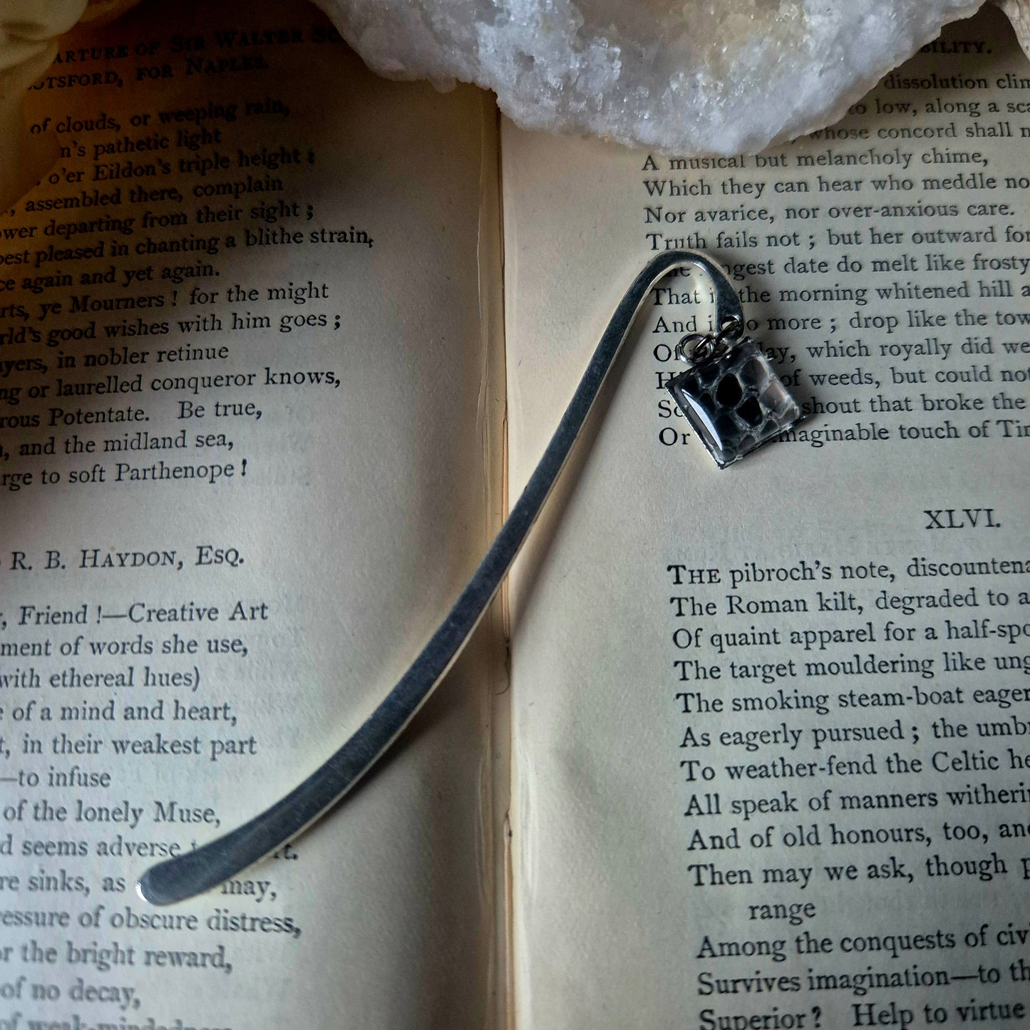 Snake Skin Bookmark