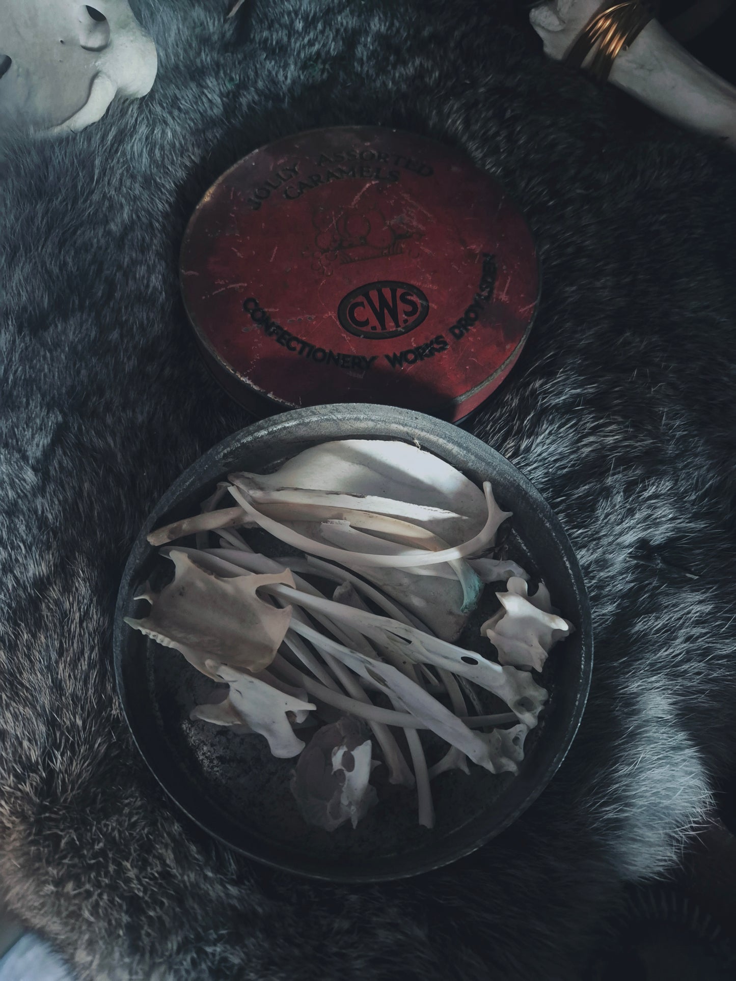 Bone Tin