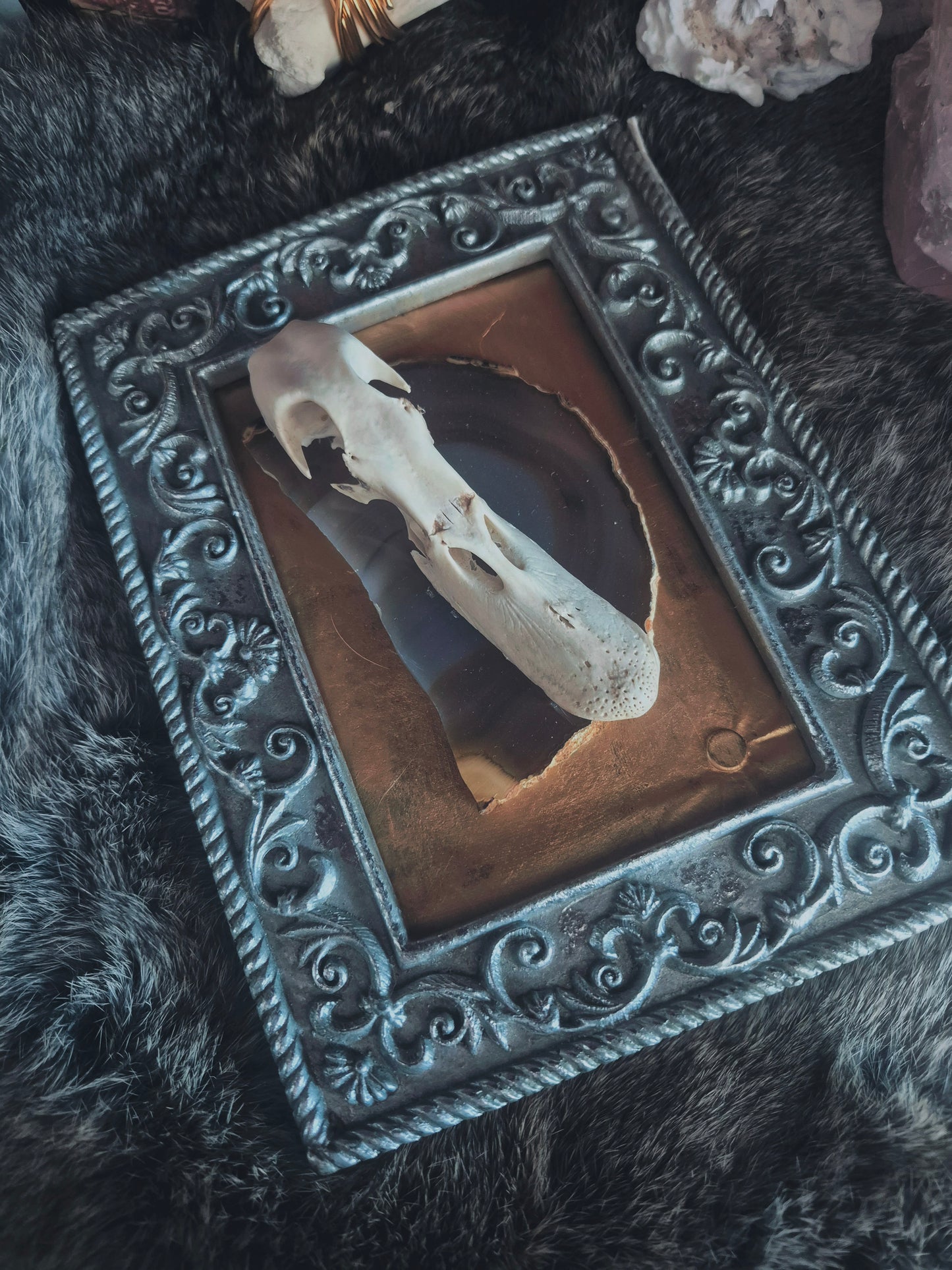 Duck Skull Frame