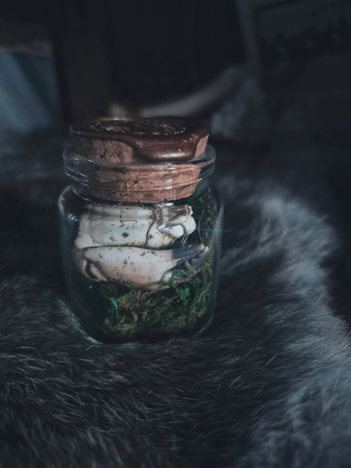 Crab Claw Jar