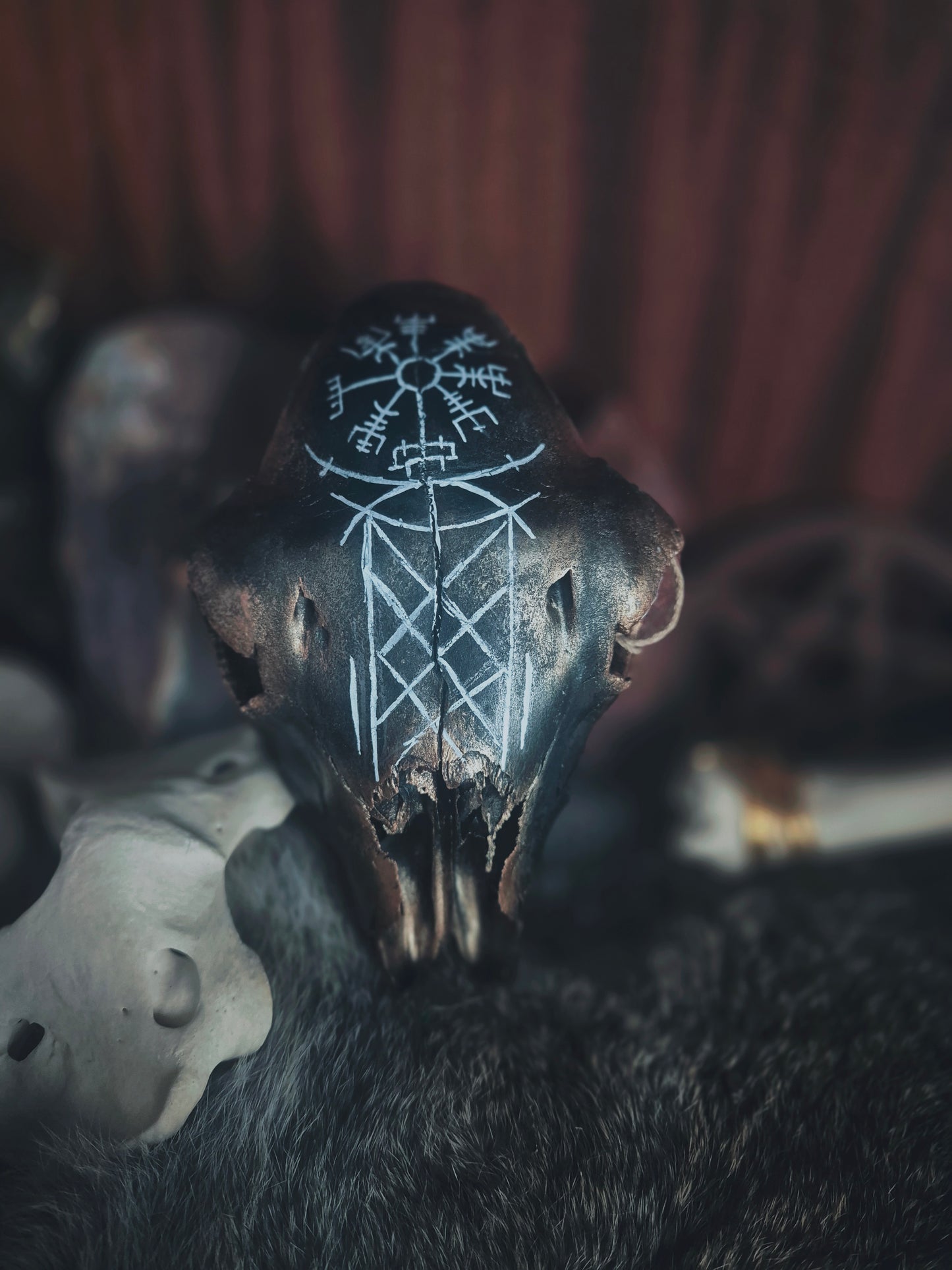 Runic Painted Sheep Skull