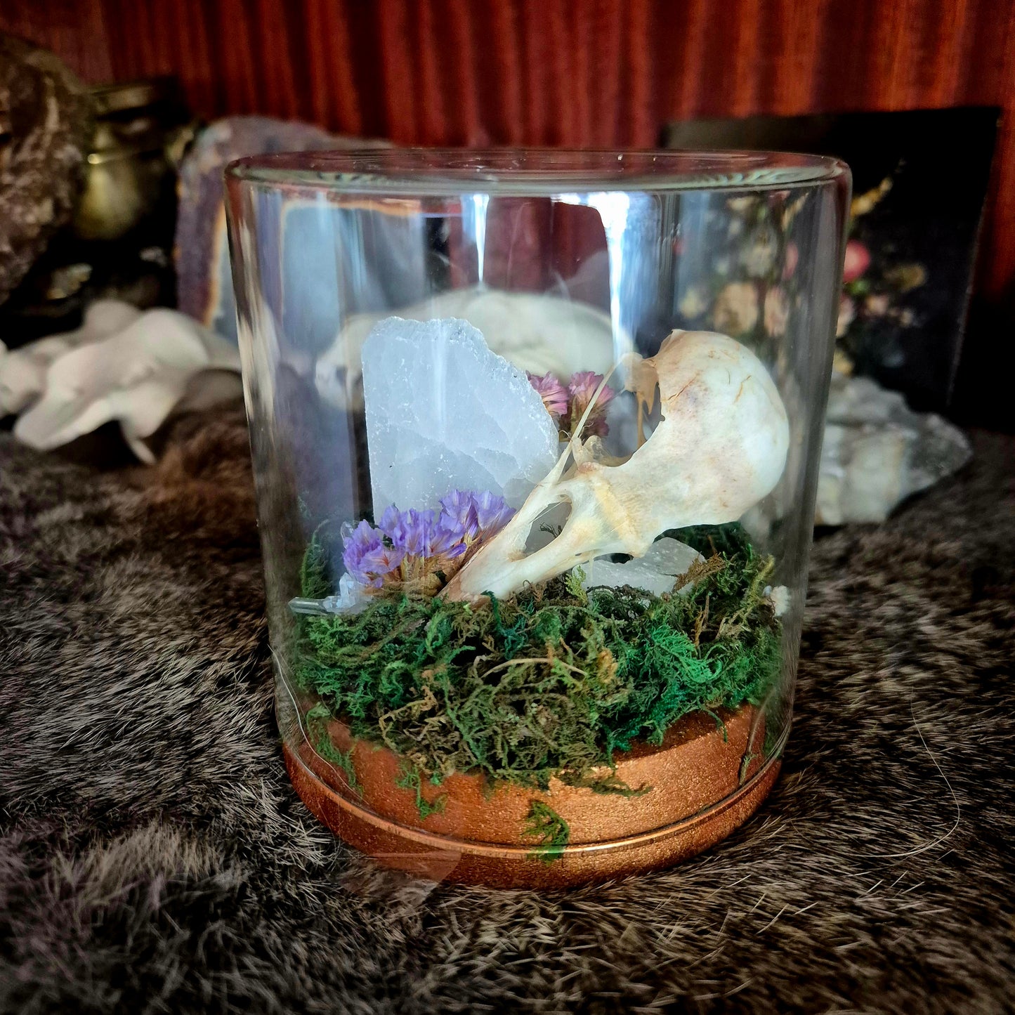 Crow Skull Jar