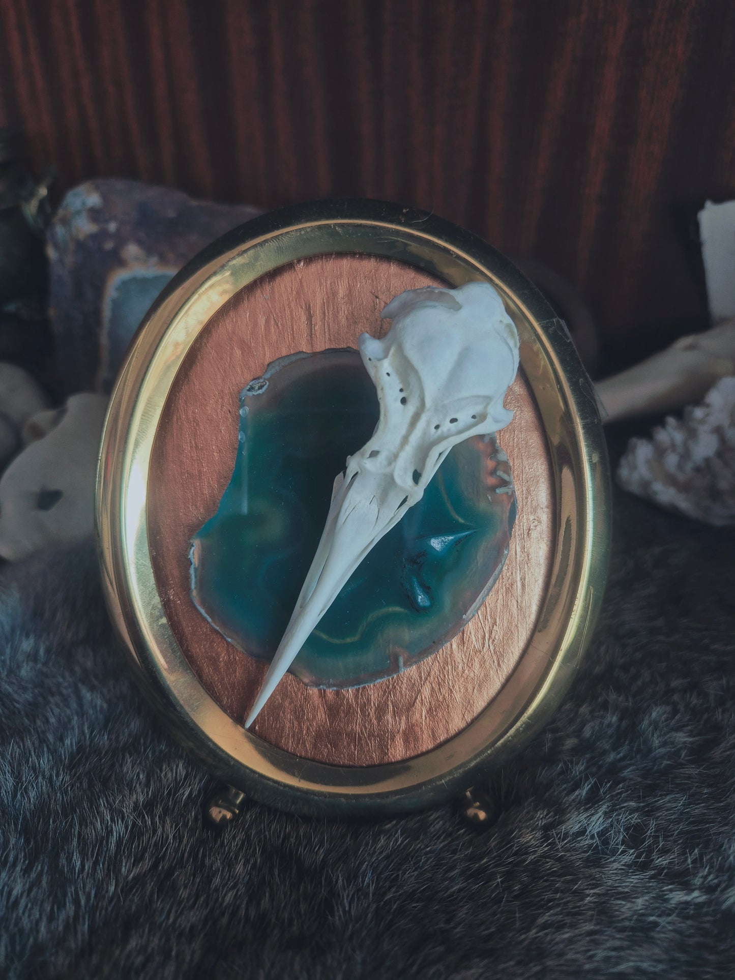 Gull Skull Frame