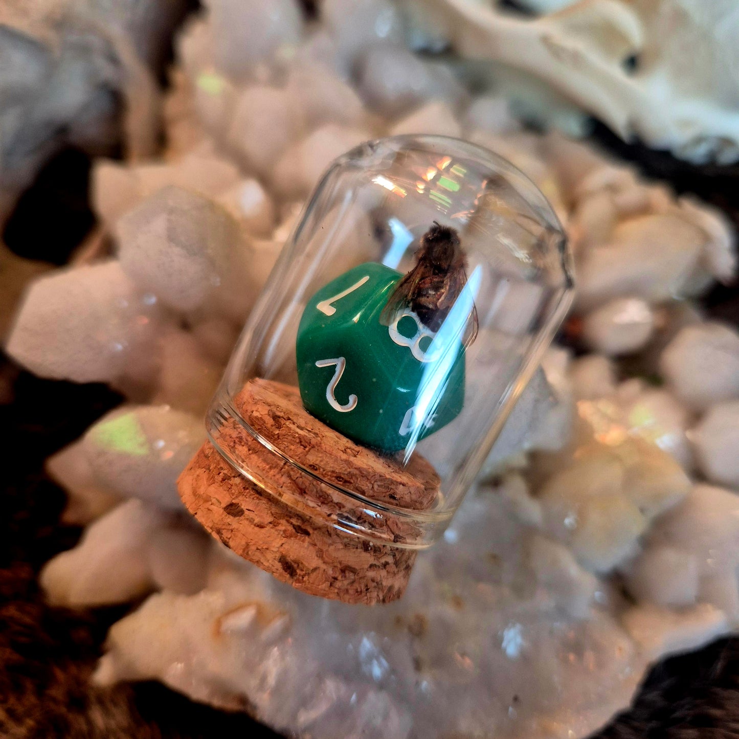 D&D Dice Bee Dome