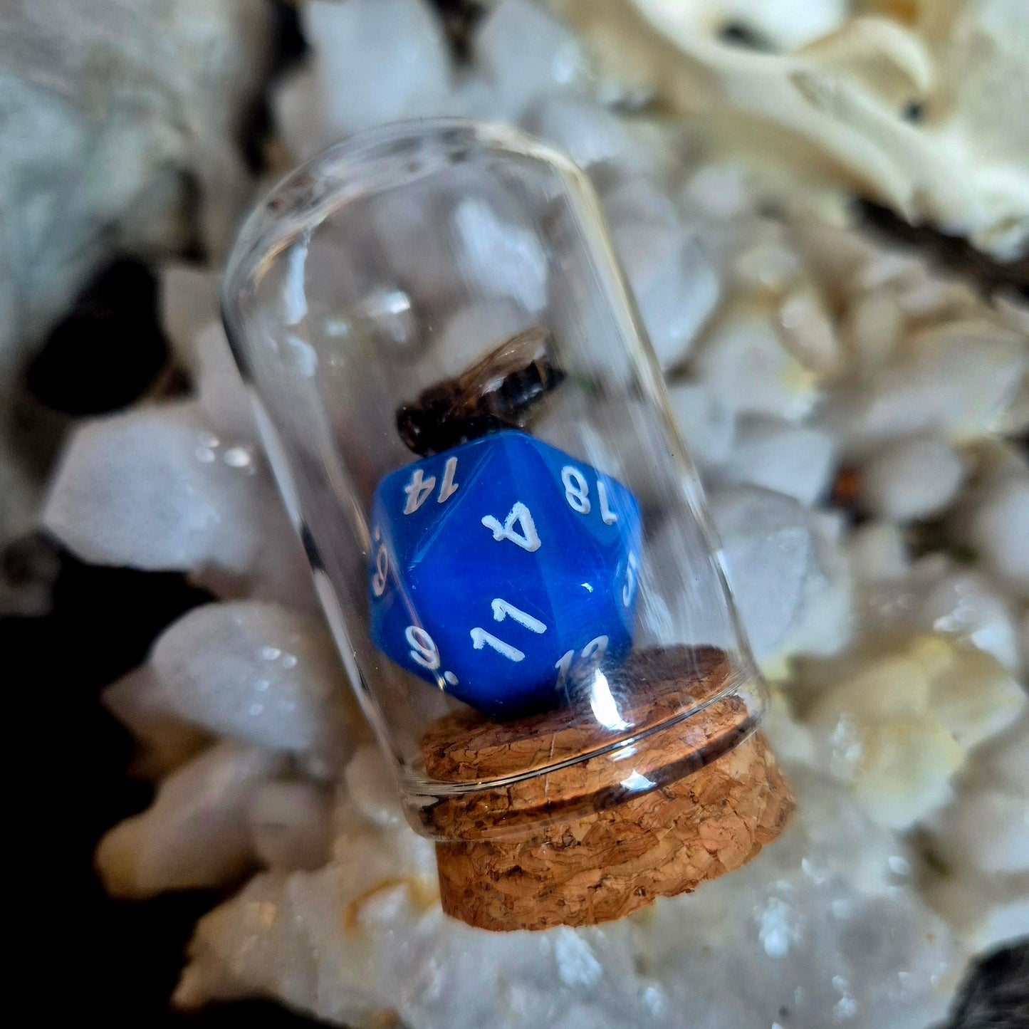 D&D Dice Bee Dome