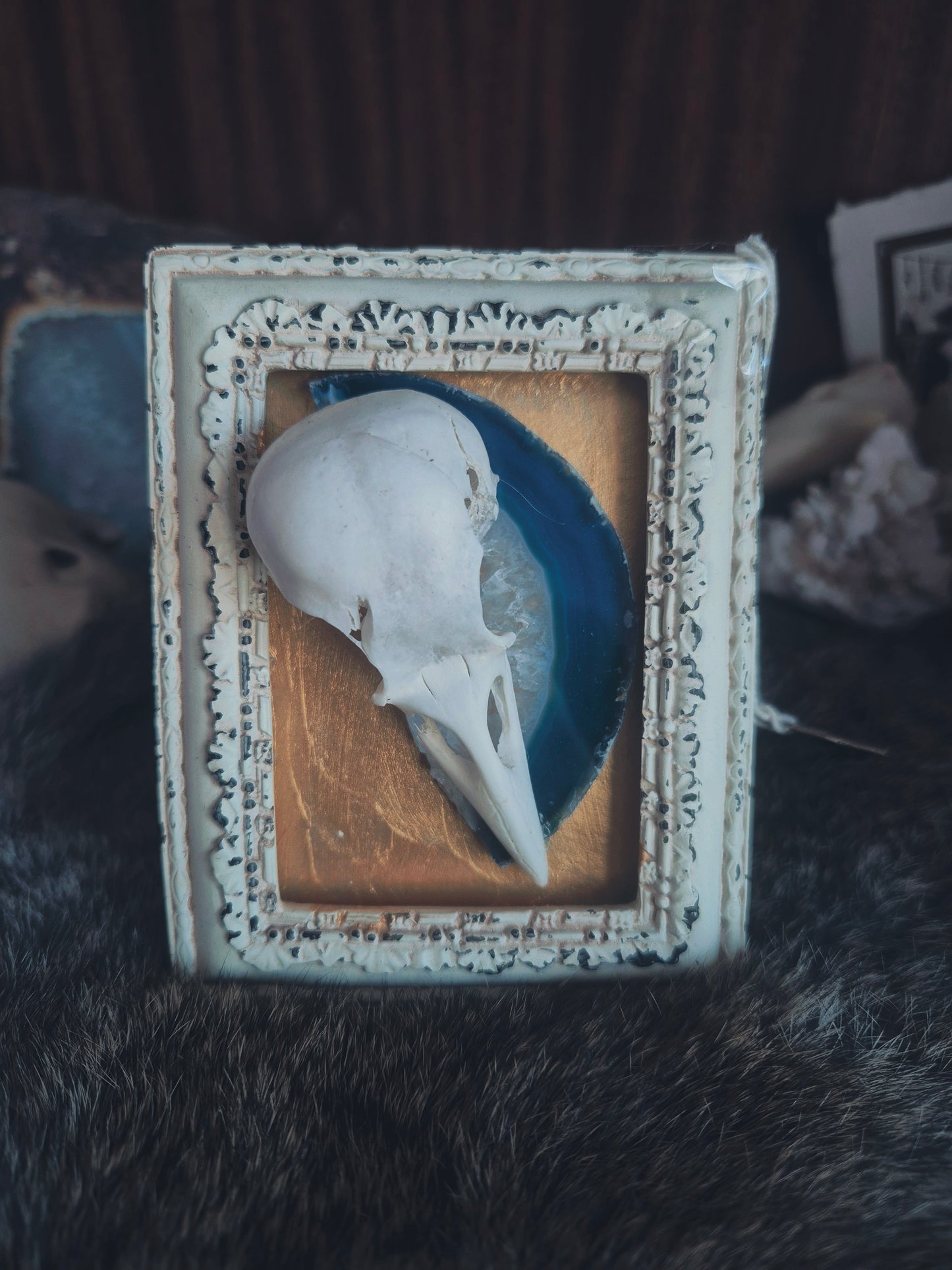 Crow Skull Frame