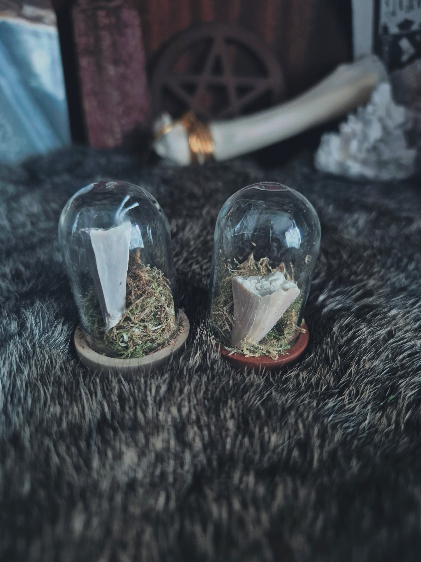 Shark Tooth Mini Dome
