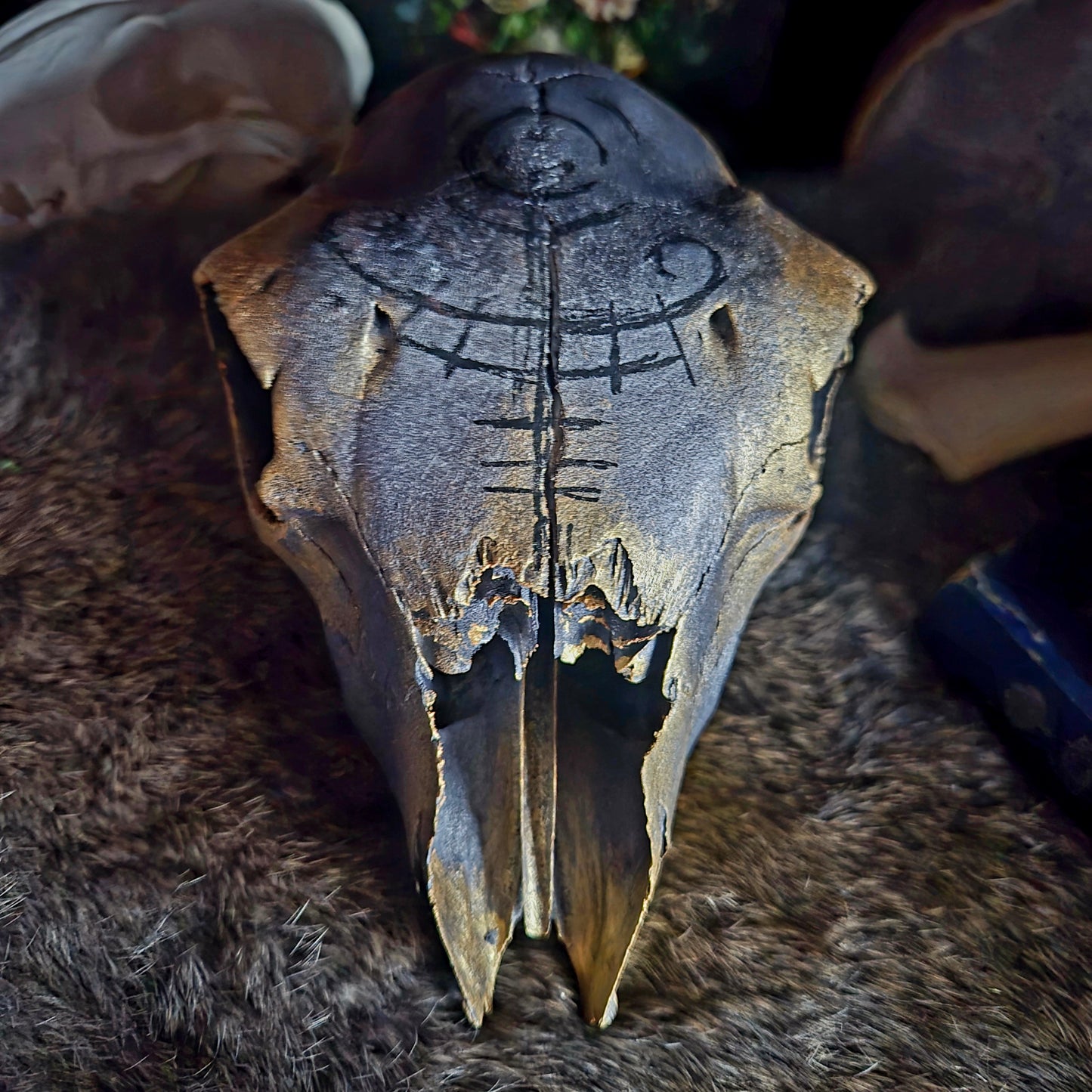 Hand Painted Sheep Skull