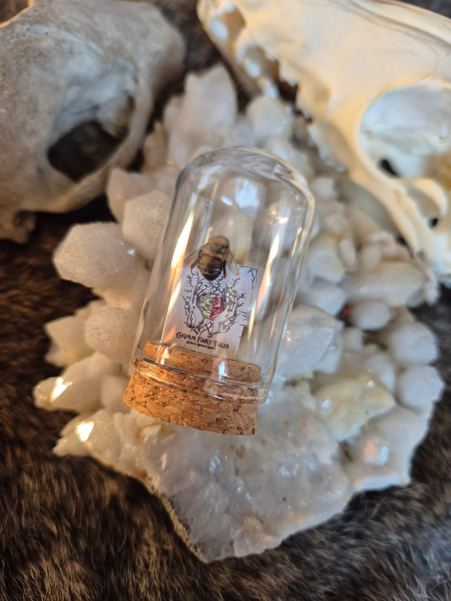 Book Bee Dome