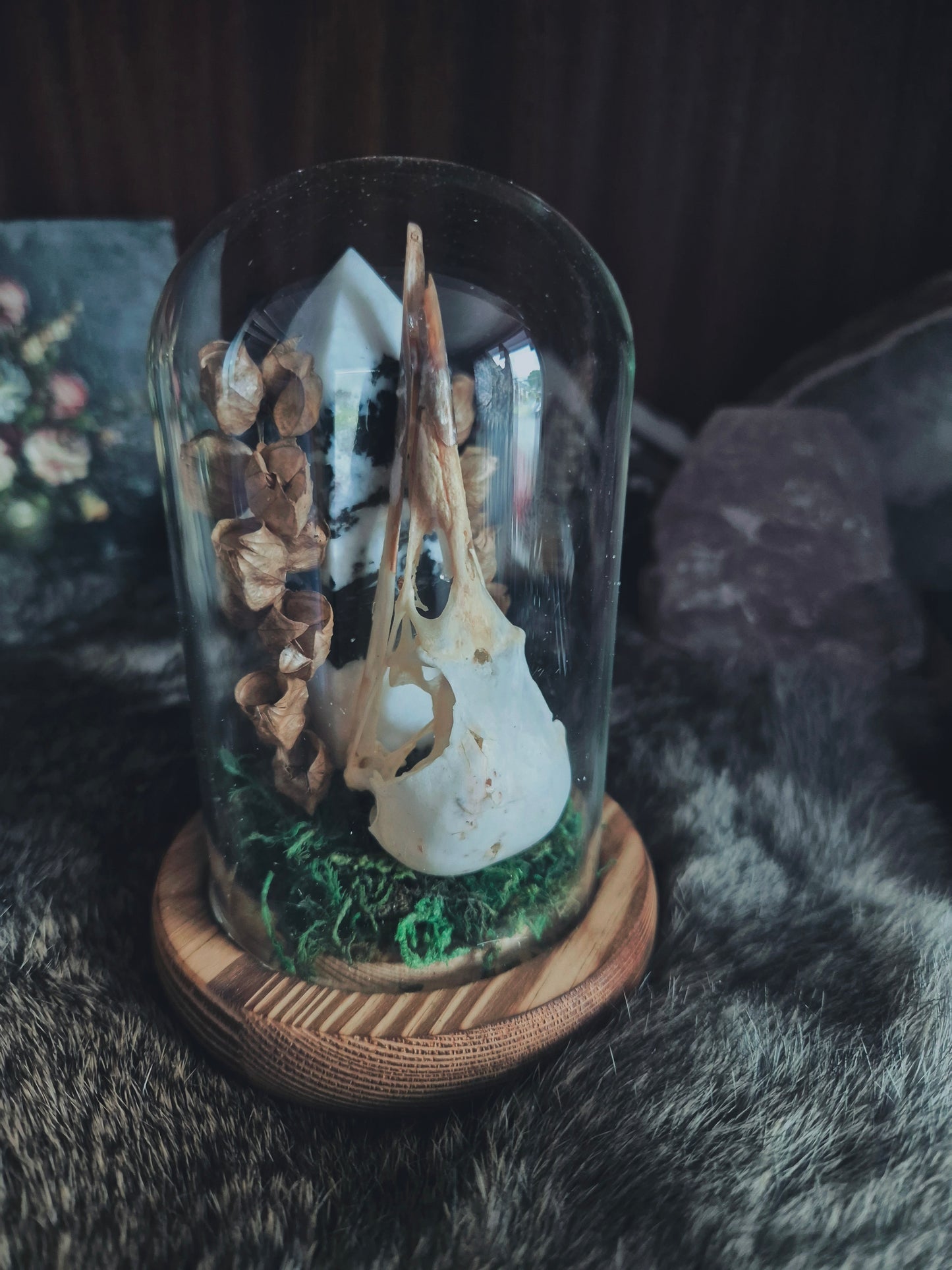 Crow Skull Dome