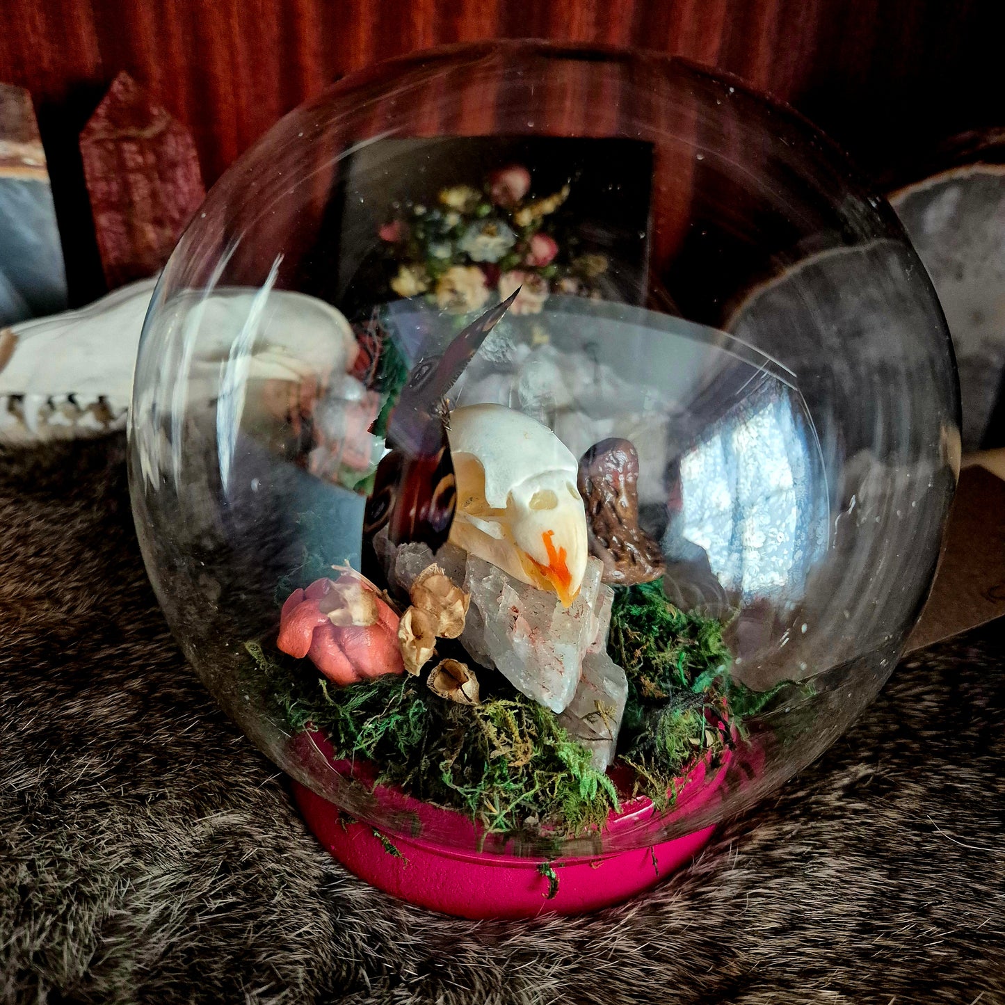 Parakite Skull and Butterfly Bubble Dome