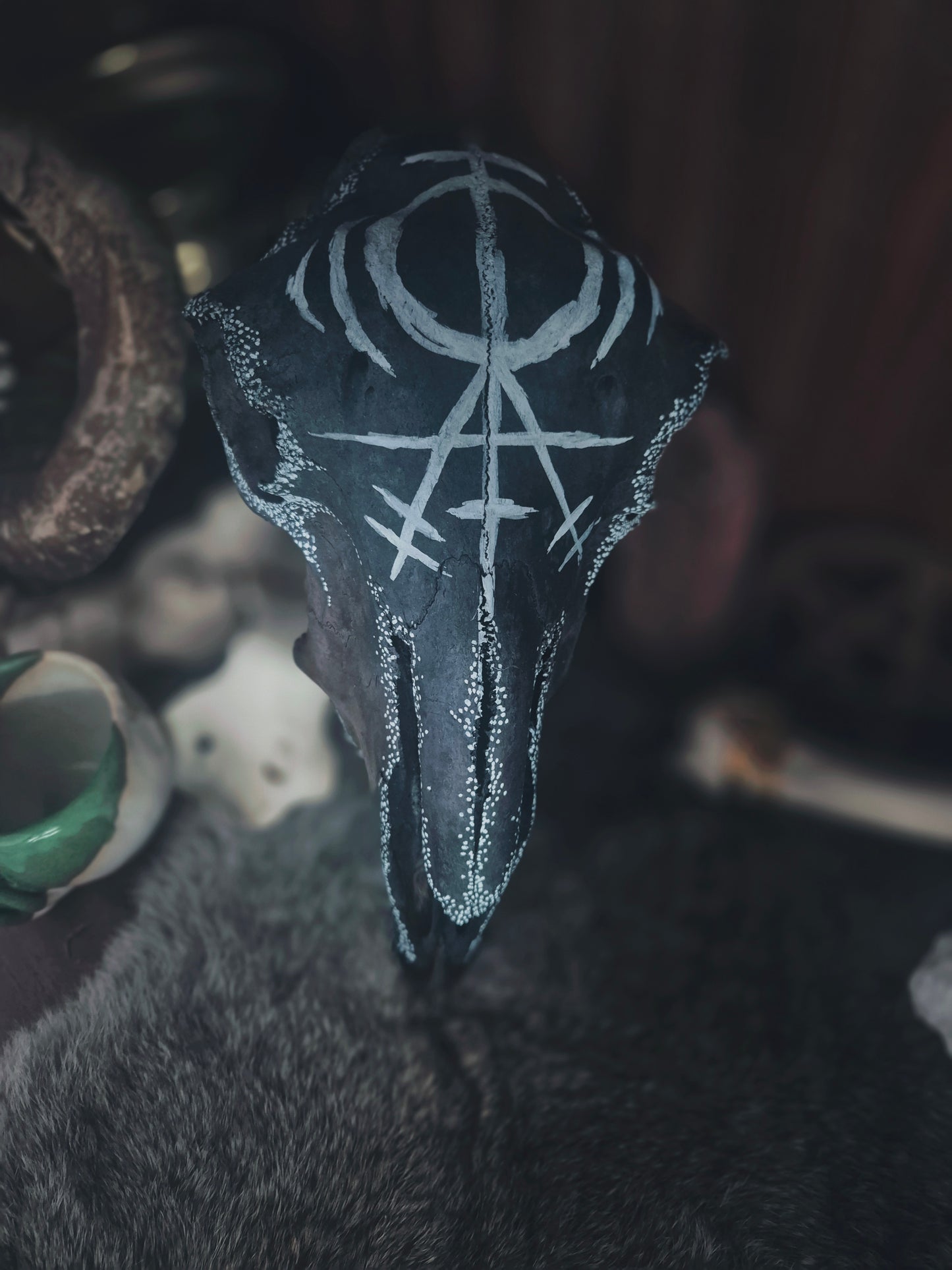 Runic Painted Sheep Skull
