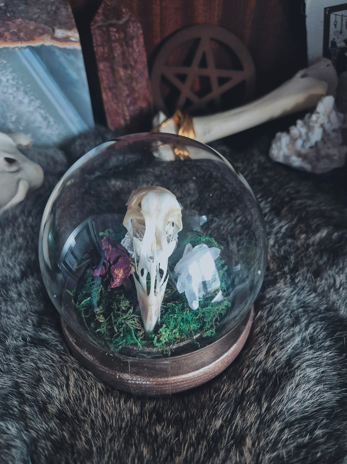 Grouse Skull Dome
